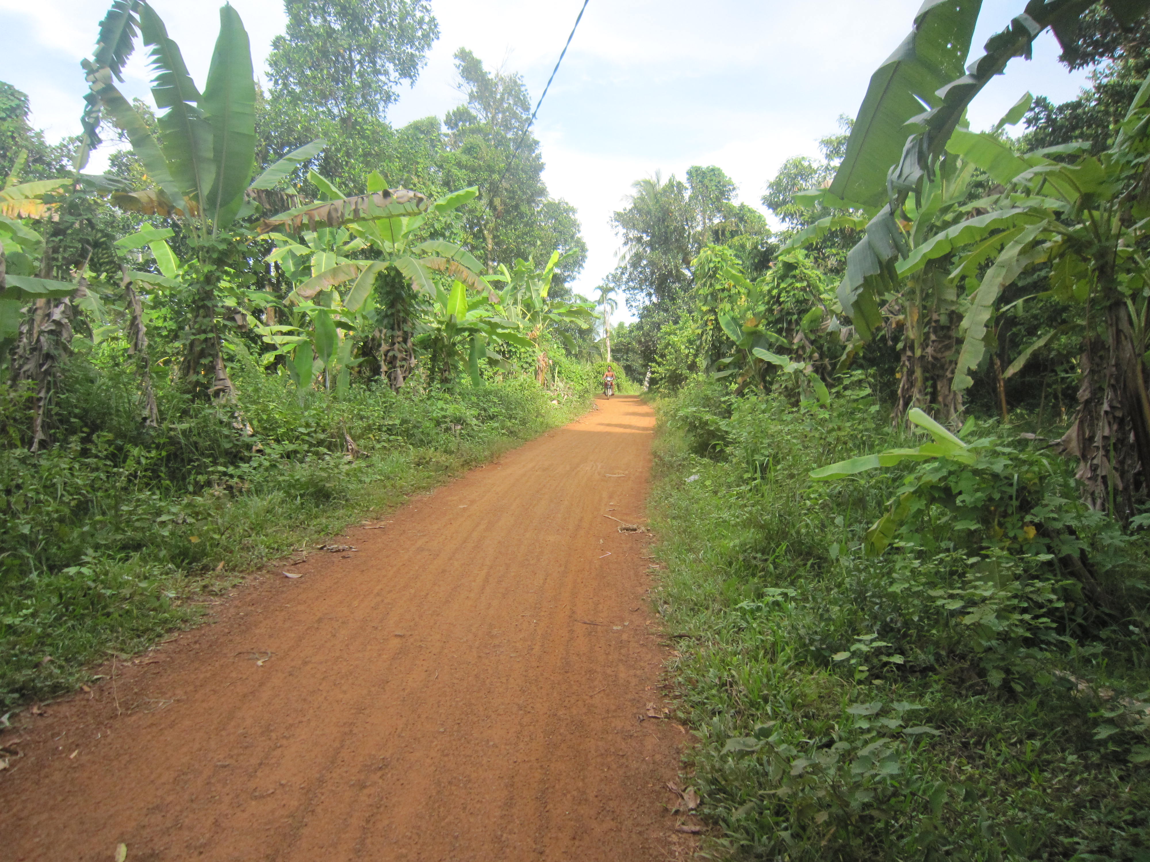 media/images/country-pages/cambodia/phnom-penh-nearby/trips/backpacker-cardamom-mountains-trek/road-to-village/2957451-1-eng-GB/road-to-village.jpg