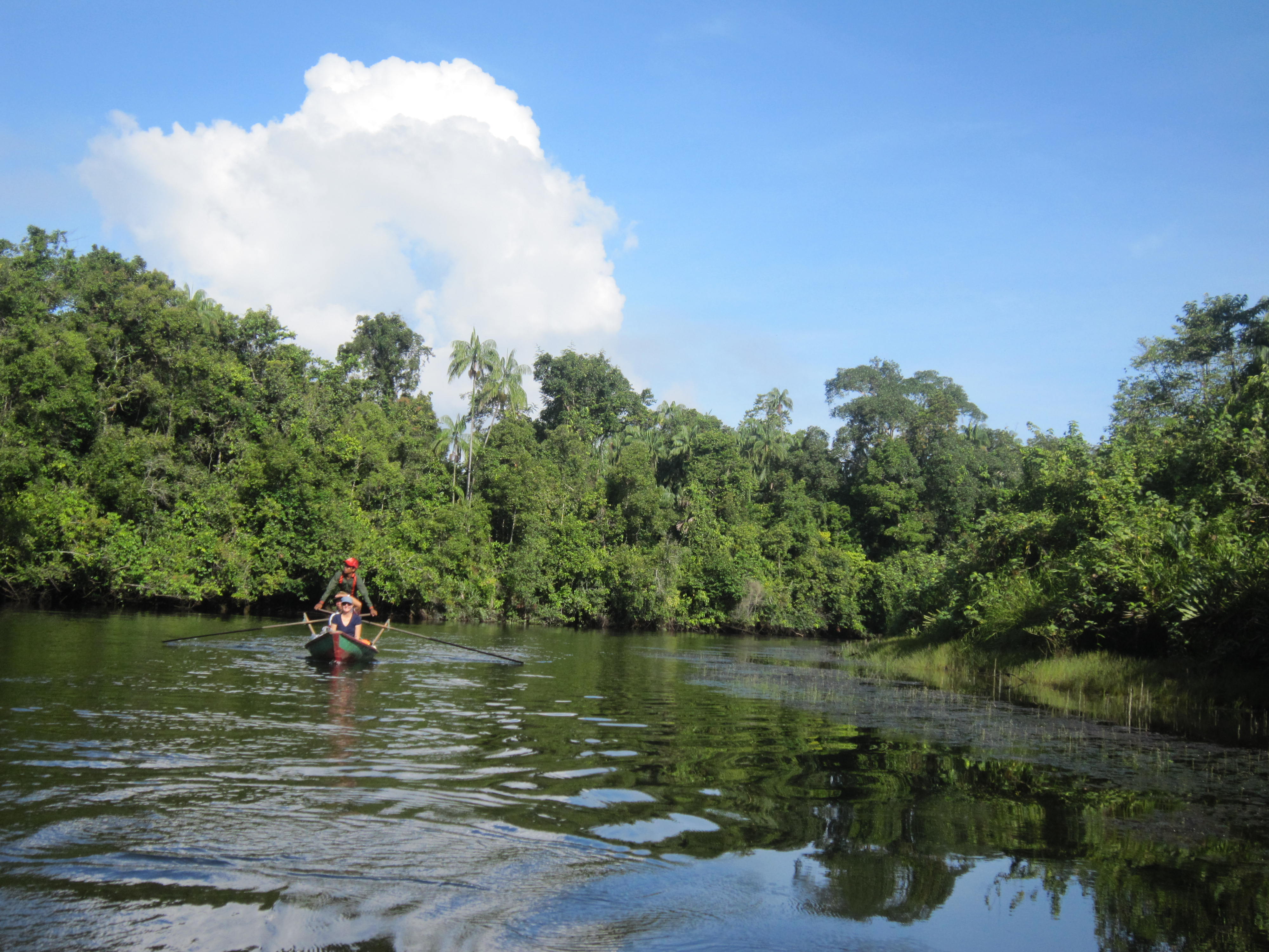 media/images/country-pages/cambodia/phnom-penh-nearby/trips/backpacker-cardamom-mountains-trek/row-boat/2957445-1-eng-GB/row-boat.jpg
