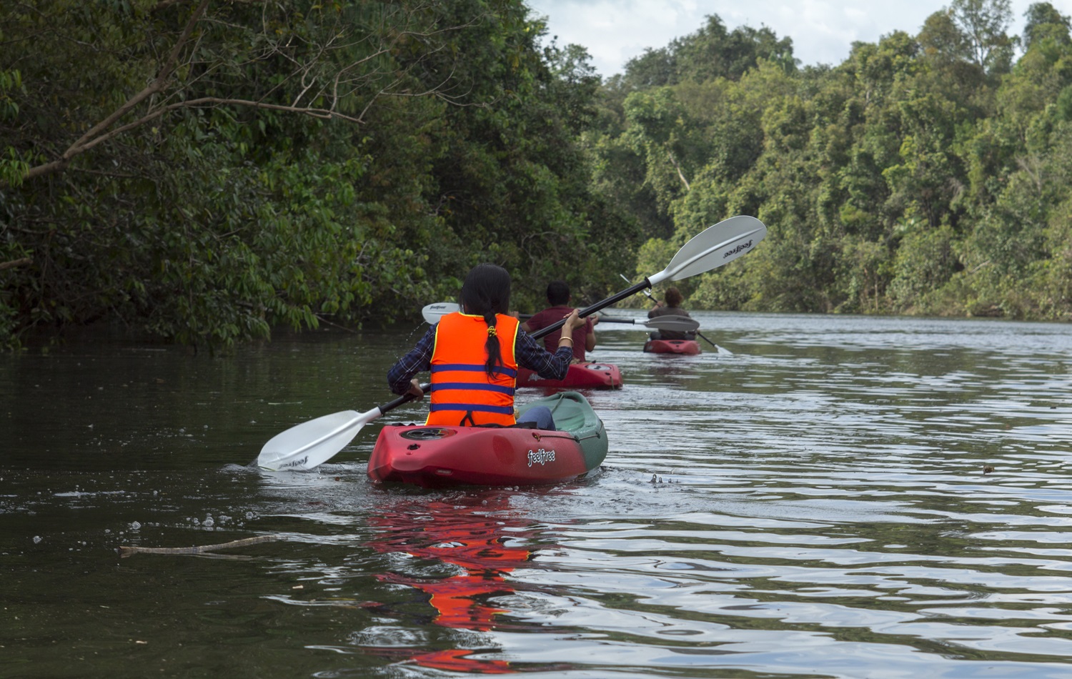 media/images/country-pages/cambodia/phnom-penh-nearby/trips/cardamom-trekking-adventure/kayaking-3/4372449-1-eng-GB/kayaking-3.jpg