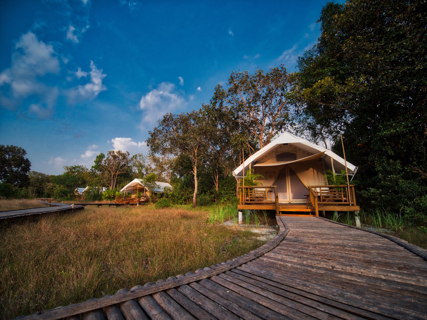 media/images/country-pages/cambodia/phnom-penh-nearby/trips/cardamom-trekking-adventure/tent-walkway-view/4372431-1-eng-GB/tent-walkway-view.jpg