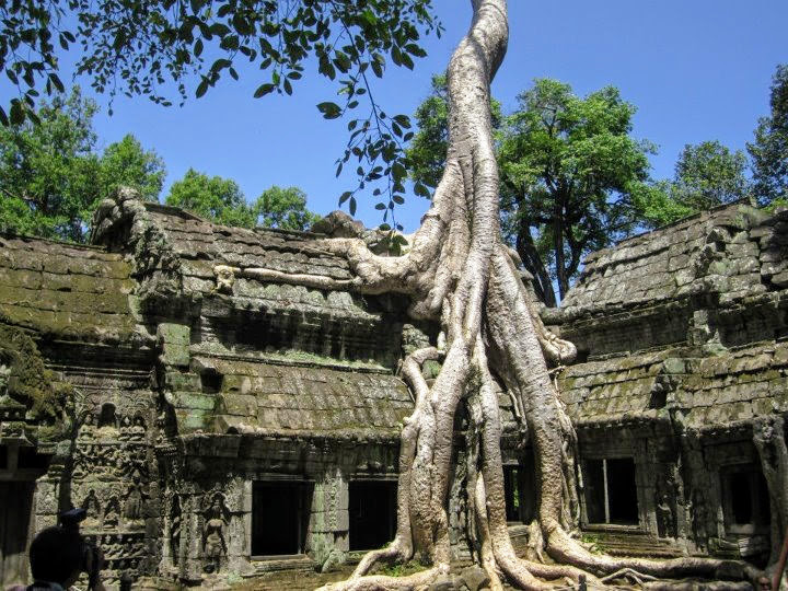 media/images/country-pages/cambodia/siem-reap-nearby/best-of-cities/comfort-best-of-siem-reap/comfort-best-of-siem-reap-4-days-8/2917261-1-eng-GB/comfort-best-of-siem-reap-4-days-8.jpg