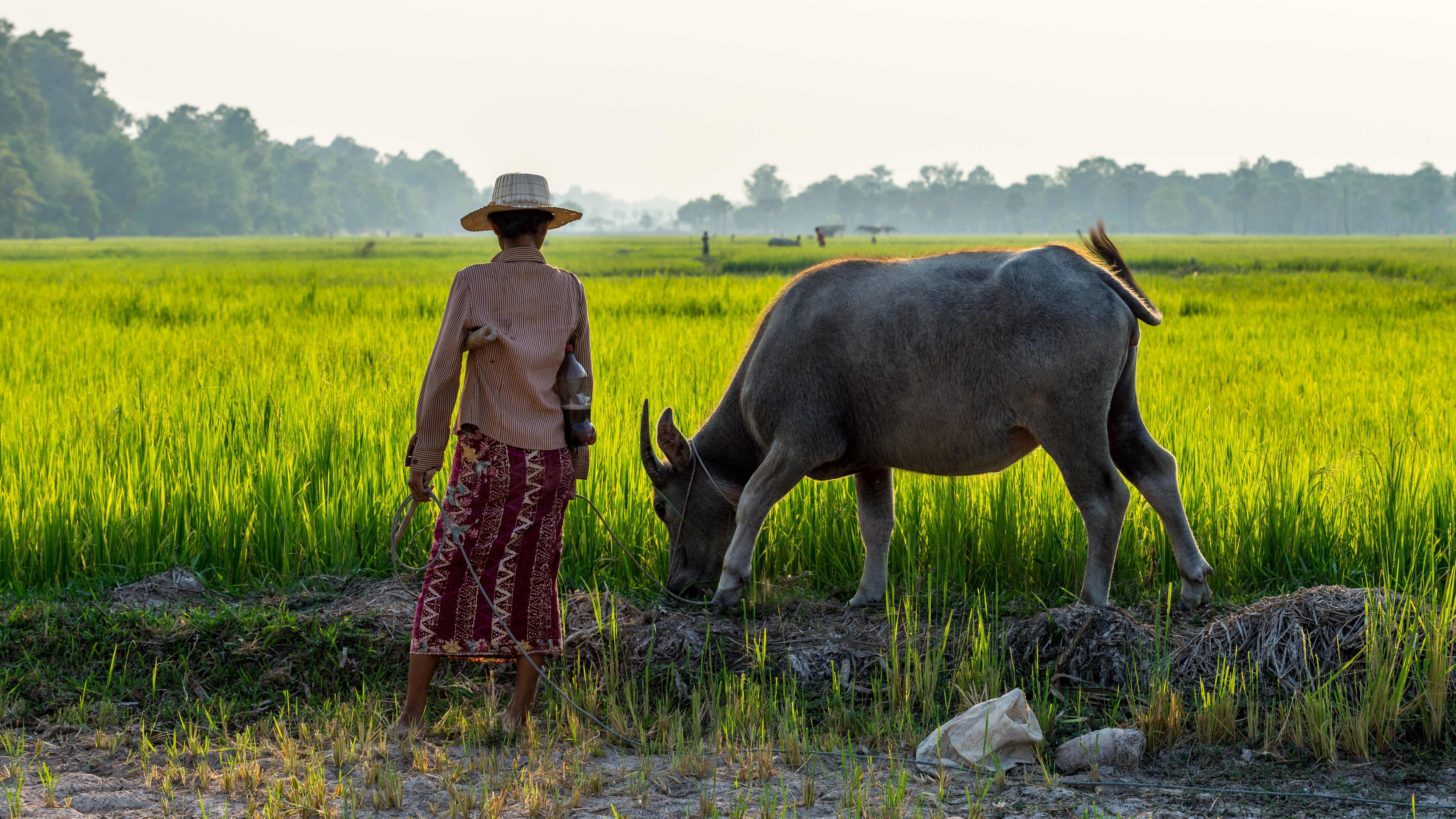media/images/country-pages/cambodia/siem-reap-nearby/trips/siem-reap-countryside-cycling-cooking/siem-reap-countryside-cycling-and-cooking-half-day-3/2790418-1-eng-GB/siem-reap-countryside-cycling-and-cooking-half-day-3.jpg