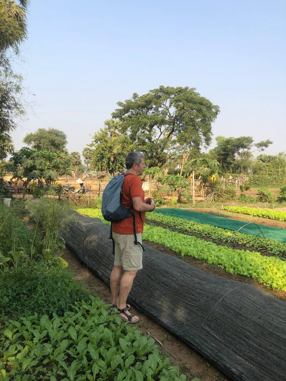 media/images/country-pages/cambodia/siem-reap-nearby/trips/siem-reap-countryside-tuk-tuk-adventure/banyon-smile-daily-life-1/3698651-1-eng-GB/banyon-smile-daily-life-1.jpg