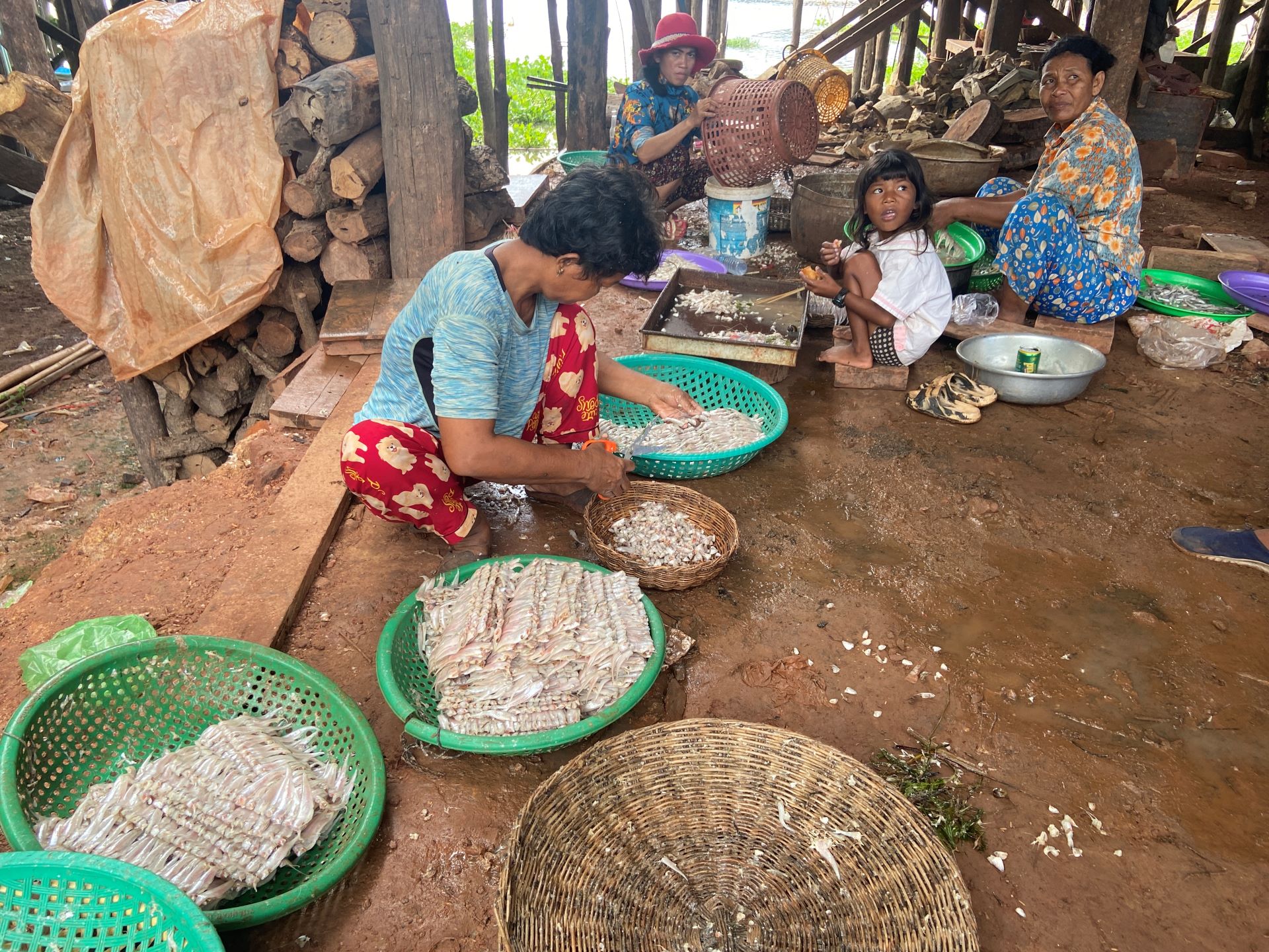 media/images/country-pages/cambodia/siem-reap-nearby/trips/siem-reap-countryside-tuk-tuk-adventure/kampong-khleang-daily-life-1_resize/3698698-1-eng-GB/kampong-khleang-daily-life-1_resize.jpg