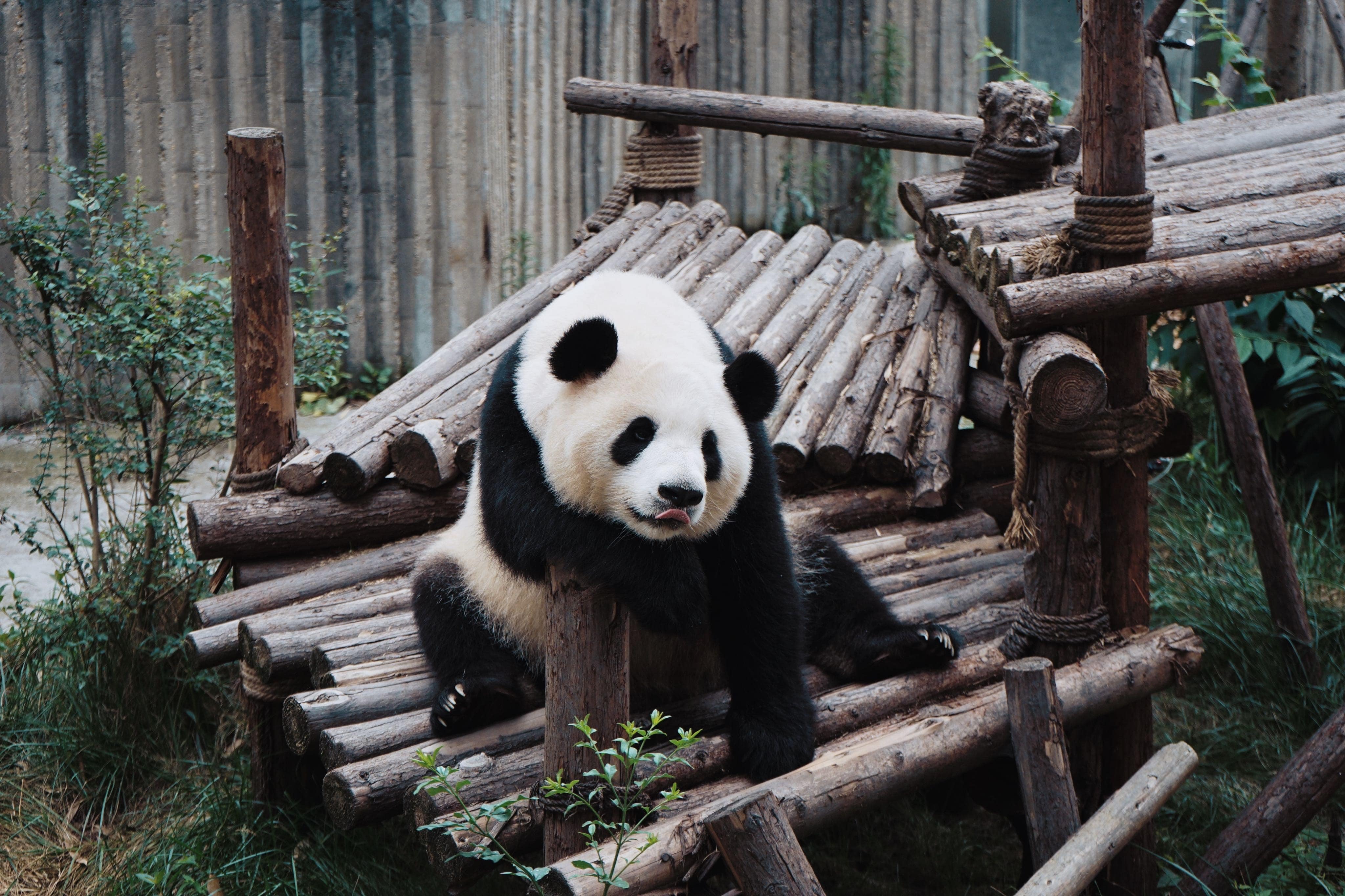 media/images/country-pages/china/beijing-and-nearby/connect-stay/beijing-to-hong-kong-connect-stay/beijing-to-hong-kong-connect-stay-8/3410384-1-eng-GB/beijing-to-hong-kong-connect-stay-8.jpg