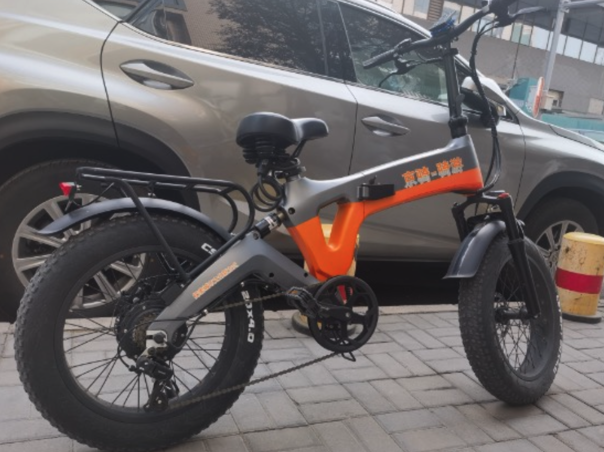 media/images/country-pages/china/beijing-and-nearby/trips/beijing-hutongs-and-forbidden-city-by-electric-bicycle/beijing-hutongs-and-forbidden-city-by-electric-bicycle-9/3436599-1-eng-GB/beijing-hutongs-and-forbidden-city-by-electric-bicycle-9.png