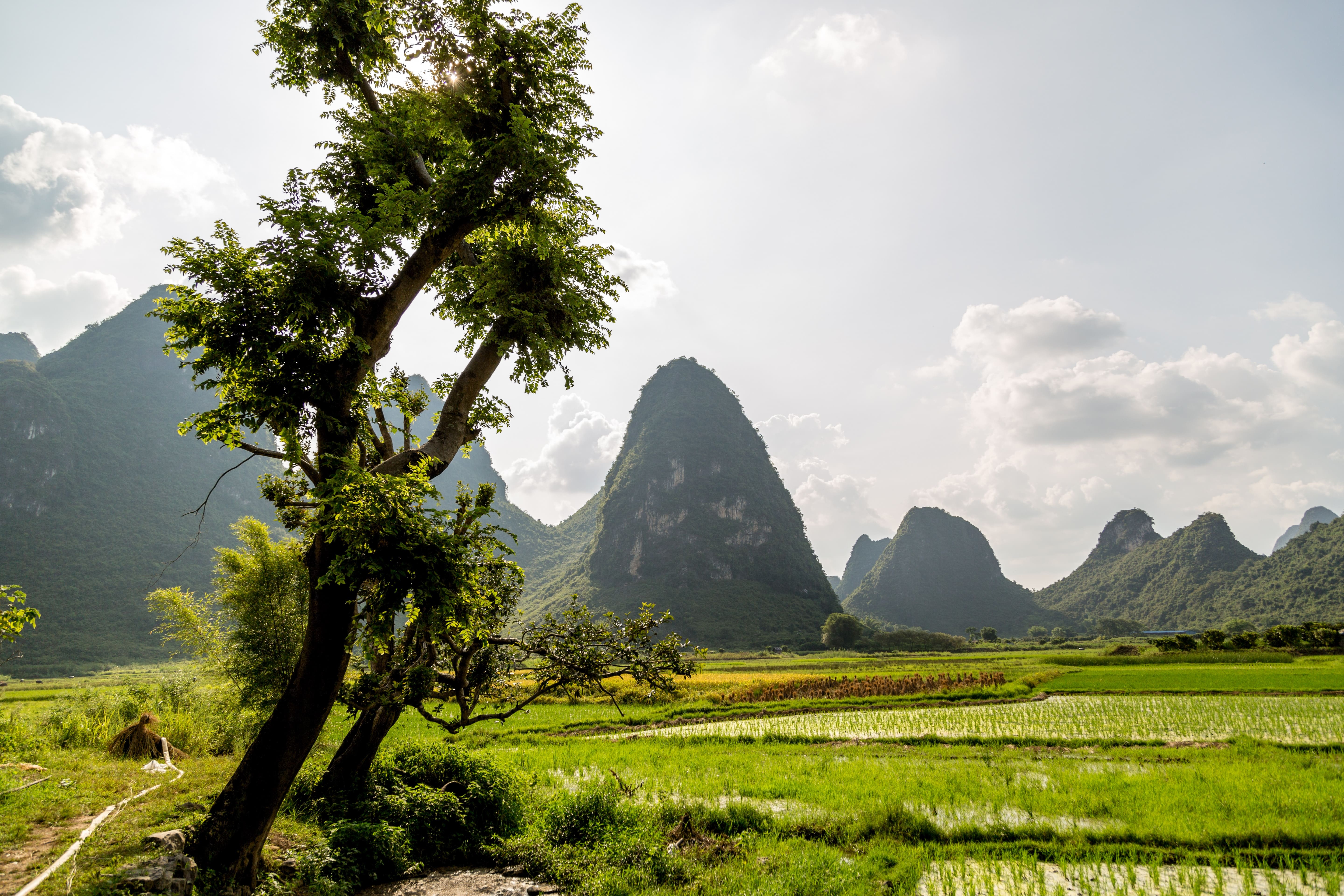 media/images/country-pages/china/guangxi-and-guizhou/trips/guilin-to-yangshuo-by-motorized-raft/guilin-to-yangshuo-by-motorized-raft-1/3443382-1-eng-GB/guilin-to-yangshuo-by-motorized-raft-1.jpg