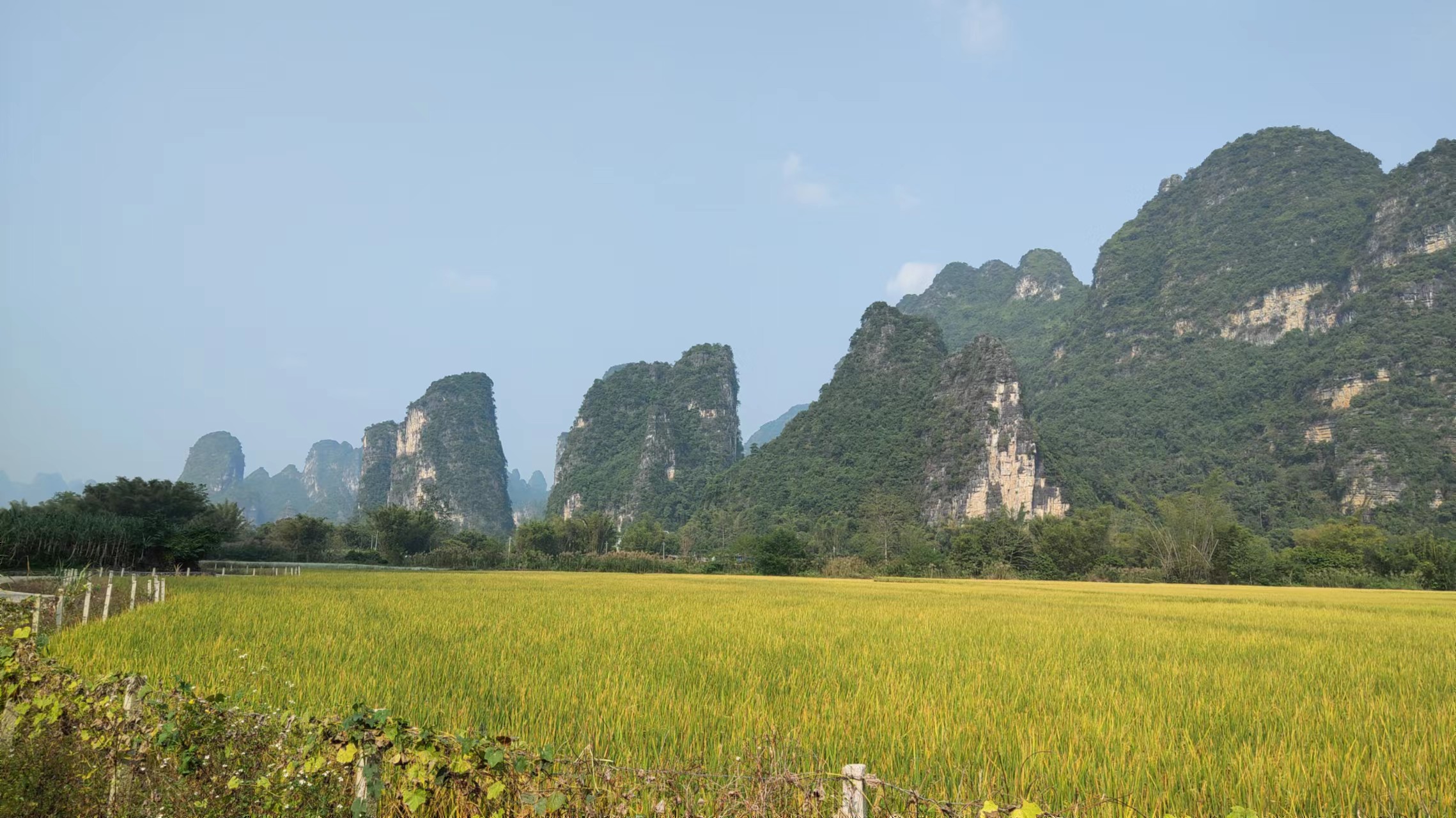 media/images/country-pages/china/guangxi-and-guizhou/trips/yangshuo-rural-rhythms-waterside-wonders-by-e-scooter/yangshuo-rural-rhythms-waterside-wonders-by-e-scooter-7/3462979-1-eng-GB/yangshuo-rural-rhythms-waterside-wonders-by-e-scooter-7.jpg
