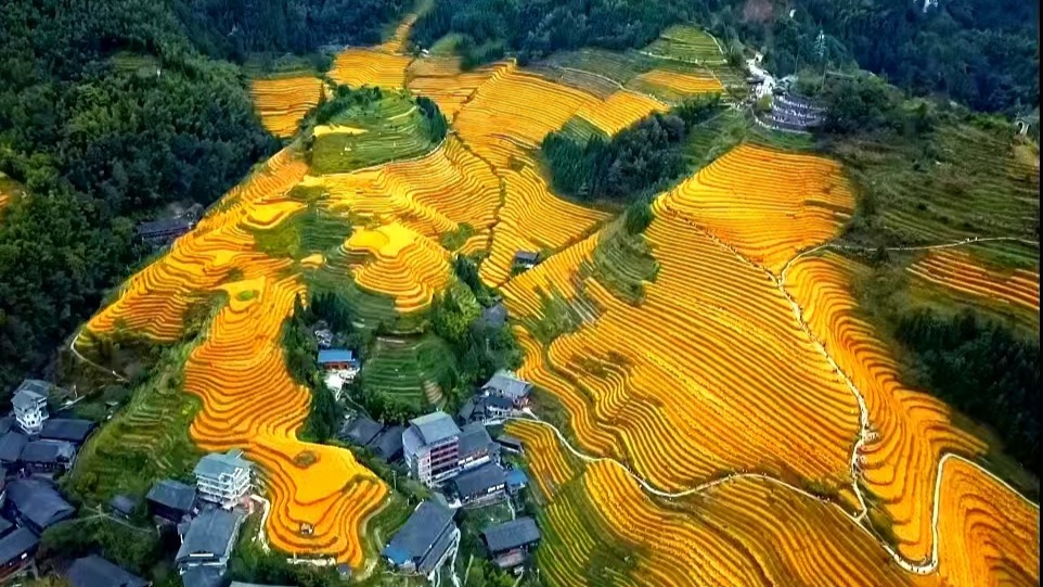 media/images/country-pages/china/hong-kong-and-macau/connect-stays/backpacker-countryside-hong-kong-to-hanoi-connect-and-stay/backpacker-countryside-hong-kong-to-hanoi-connect-and-stay-4/4192004-1-eng-GB/backpacker-countryside-hong-kong-to-hanoi-connect-and-stay-4.jpg