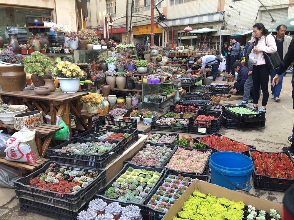 media/images/country-pages/china/hong-kong-and-macau/connect-stays/backpacker-hong-kong-to-vietnam-connect-and-stay/backpacker-hong-kong-to-vietnam-connect-and-stay-9/3938593-1-eng-GB/backpacker-hong-kong-to-vietnam-connect-and-stay-9.jpg