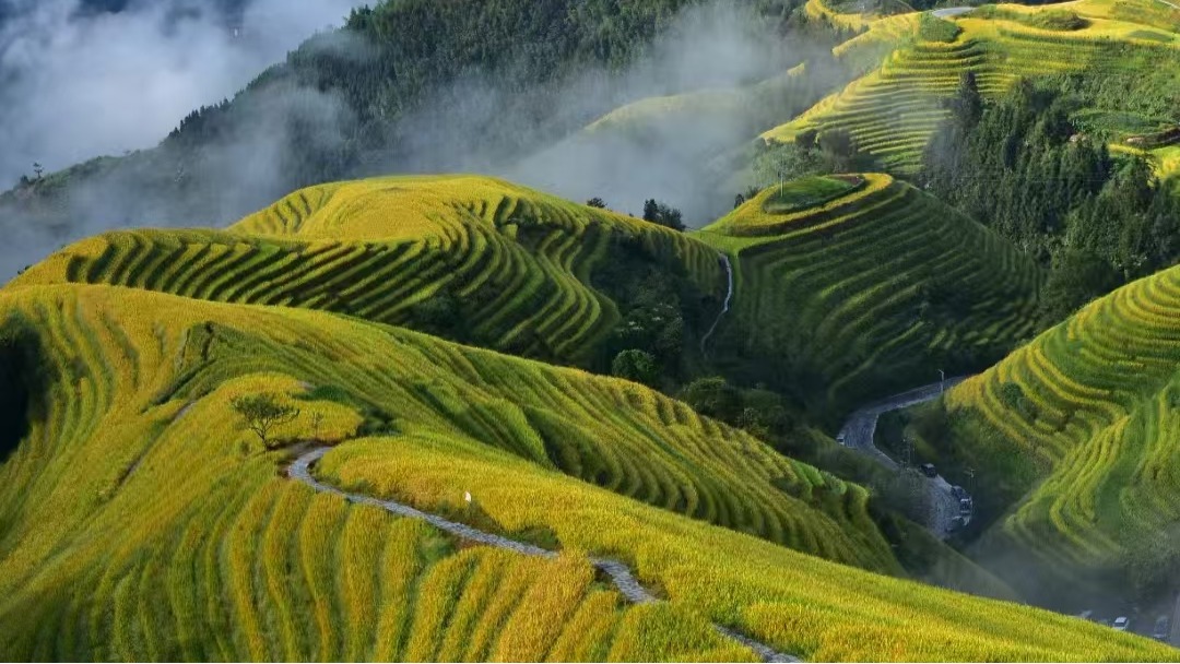 media/images/country-pages/china/hong-kong-and-macau/connect-stays/comfort-countryside-hong-kong-to-hanoi-connect-and-stay/comfort-countryside-hong-kong-to-hanoi-connect-and-stay-2/4192149-1-eng-GB/comfort-countryside-hong-kong-to-hanoi-connect-and-stay-2.jpg
