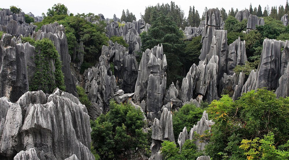 media/images/country-pages/china/hong-kong-and-macau/connect-stays/comfort-hong-kong-to-vietnam-connect-and-stay/comfort-hong-kong-to-vietnam-connect-and-stay-3/3938760-1-eng-GB/comfort-hong-kong-to-vietnam-connect-and-stay-3.jpg