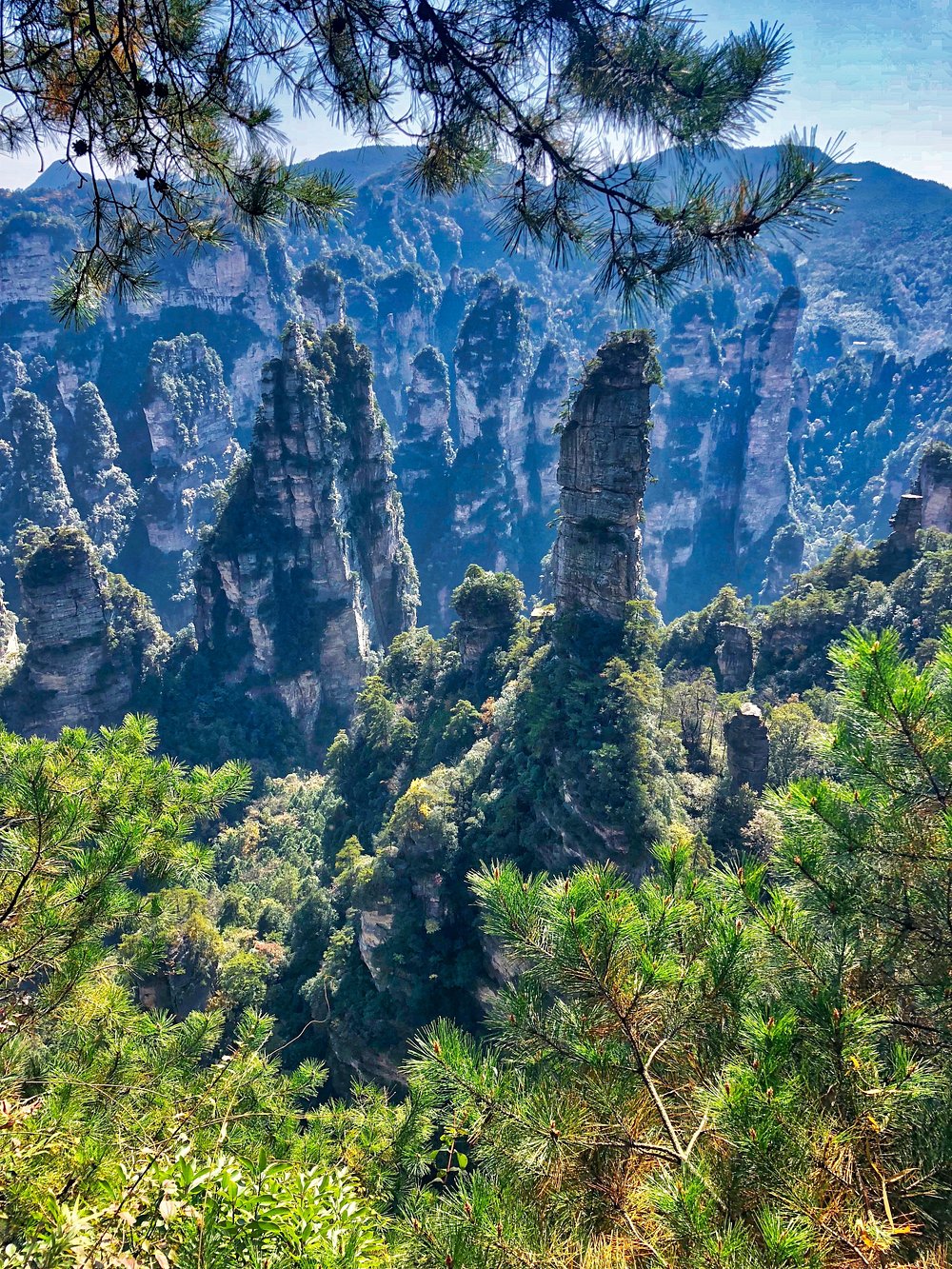 media/images/country-pages/china/the-yangzi-basin/trips/backpacker-zhangjiajie-forest-park/backpacker-zhangjiajie-forest-park-2/3921390-1-eng-GB/backpacker-zhangjiajie-forest-park-2.jpg