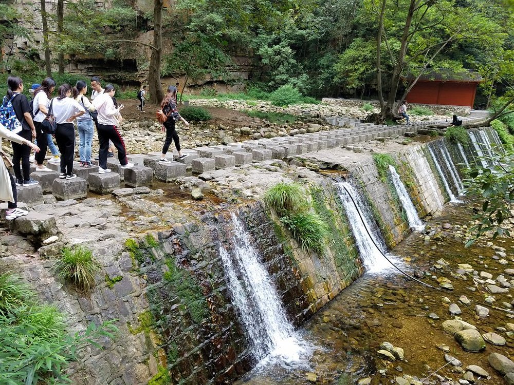 media/images/country-pages/china/the-yangzi-basin/trips/comfort-zhangjiajie-forest-park/comfort-zhangjiajie-forest-park-4/3921480-1-eng-GB/comfort-zhangjiajie-forest-park-4.jpg