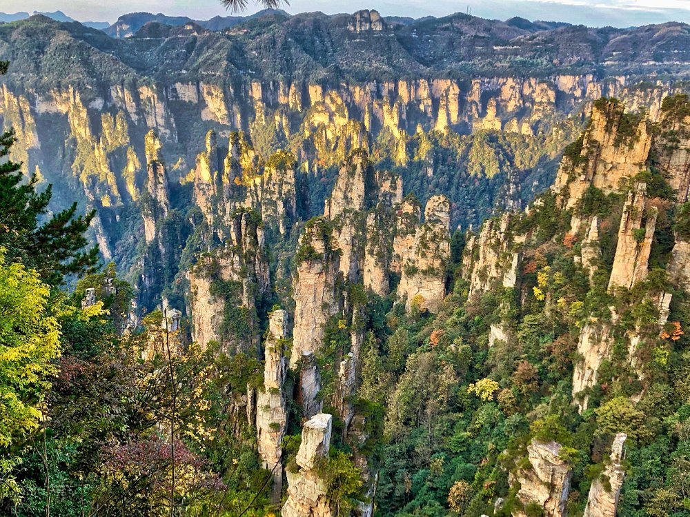 media/images/country-pages/china/the-yangzi-basin/trips/comfort-zhangjiajie-forest-park/comfort-zhangjiajie-forest-park-7/3921498-1-eng-GB/comfort-zhangjiajie-forest-park-7.jpg