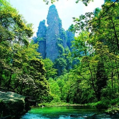media/images/country-pages/china/the-yangzi-basin/trips/comfort-zhangjiajie-forest-park/comfort-zhangjiajie-forest-park-9/3921510-1-eng-GB/comfort-zhangjiajie-forest-park-9.jpg