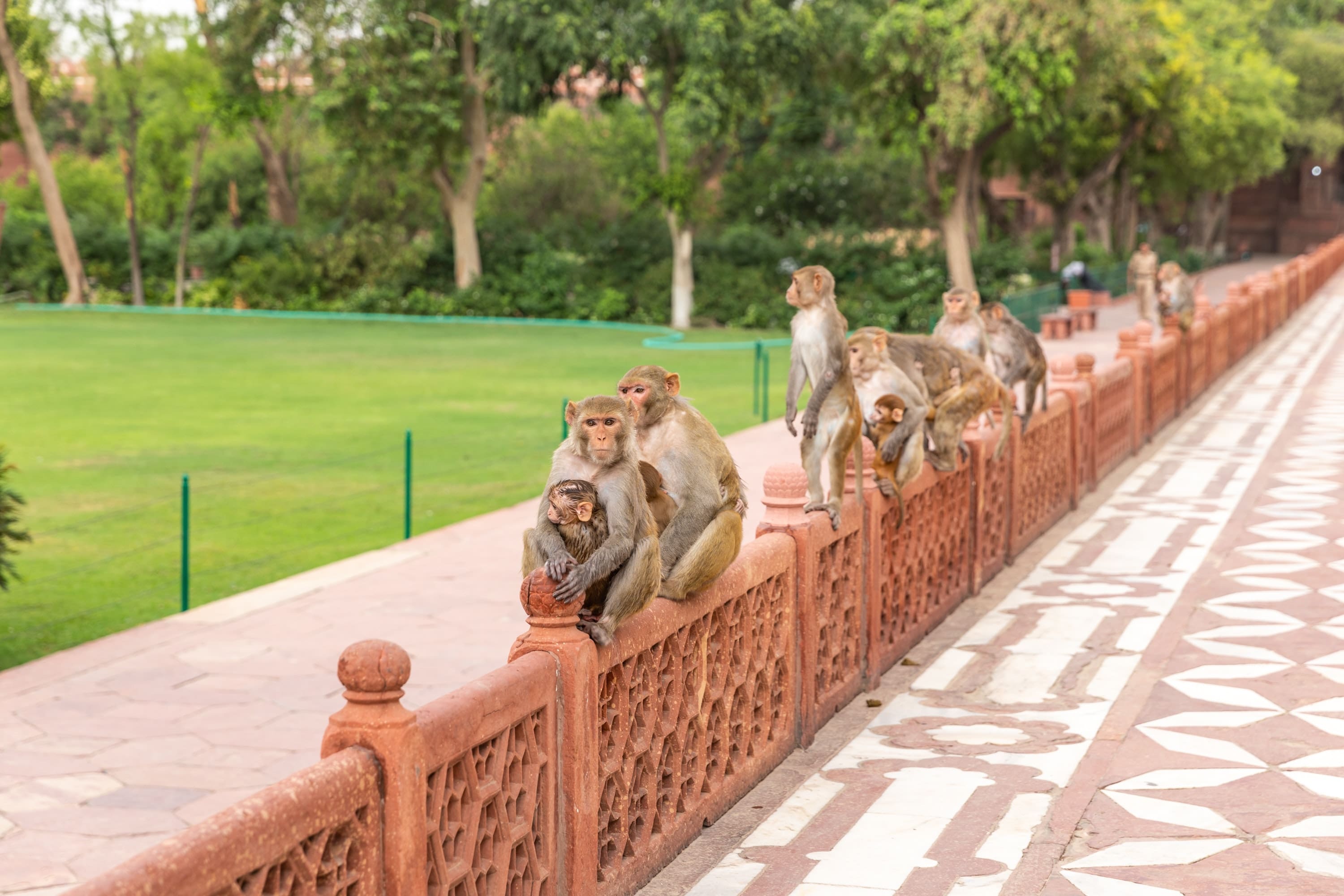 media/images/country-pages/india/delhi-and-nearby/connect-stays/delhi-to-goa-connect-stay/delhi-to-goa-connect-stay-6/2991385-1-eng-GB/delhi-to-goa-connect-stay-6.jpg
