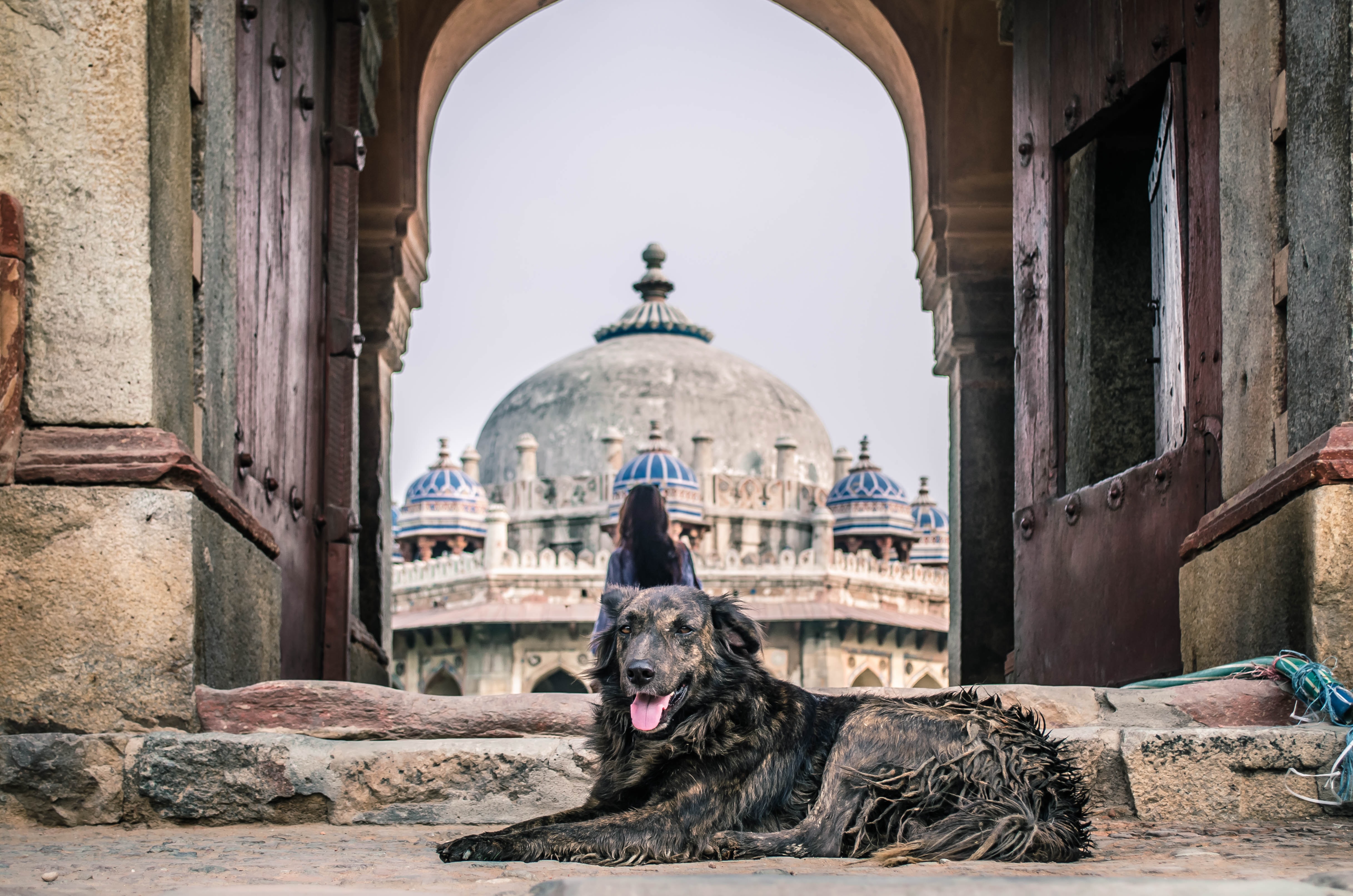 media/images/country-pages/india/delhi-around/best-of-cities/backpacker-best-of-delhi-4-days/backpacker-best-of-delhi-4-days-5/2802210-1-eng-GB/backpacker-best-of-delhi-4-days-5.jpg