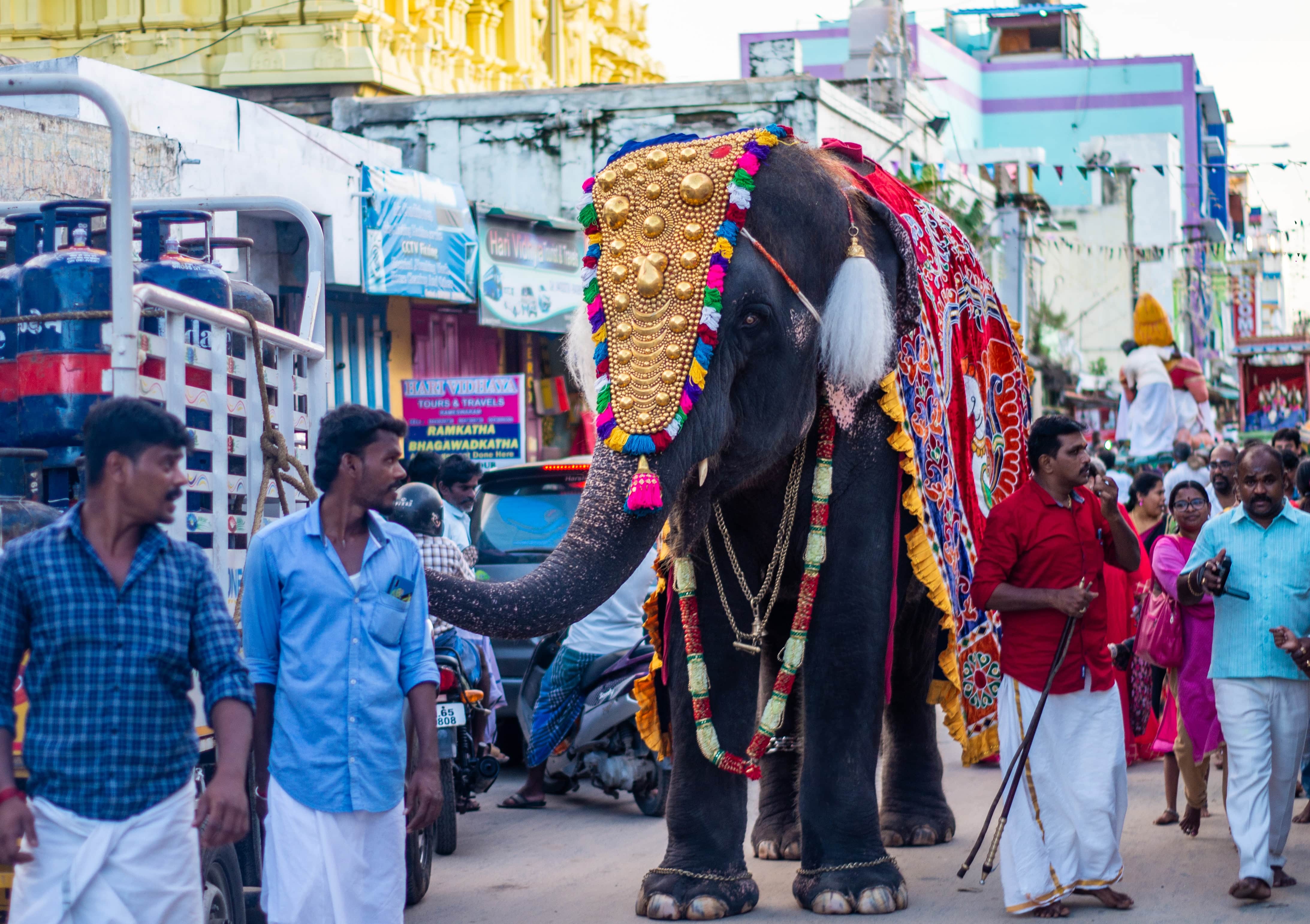 media/images/country-pages/india/goa/goa-to-kochi-explorer/backpacker-goa-to-kochi-explorer-7/3390417-1-eng-GB/backpacker-goa-to-kochi-explorer-7.jpg
