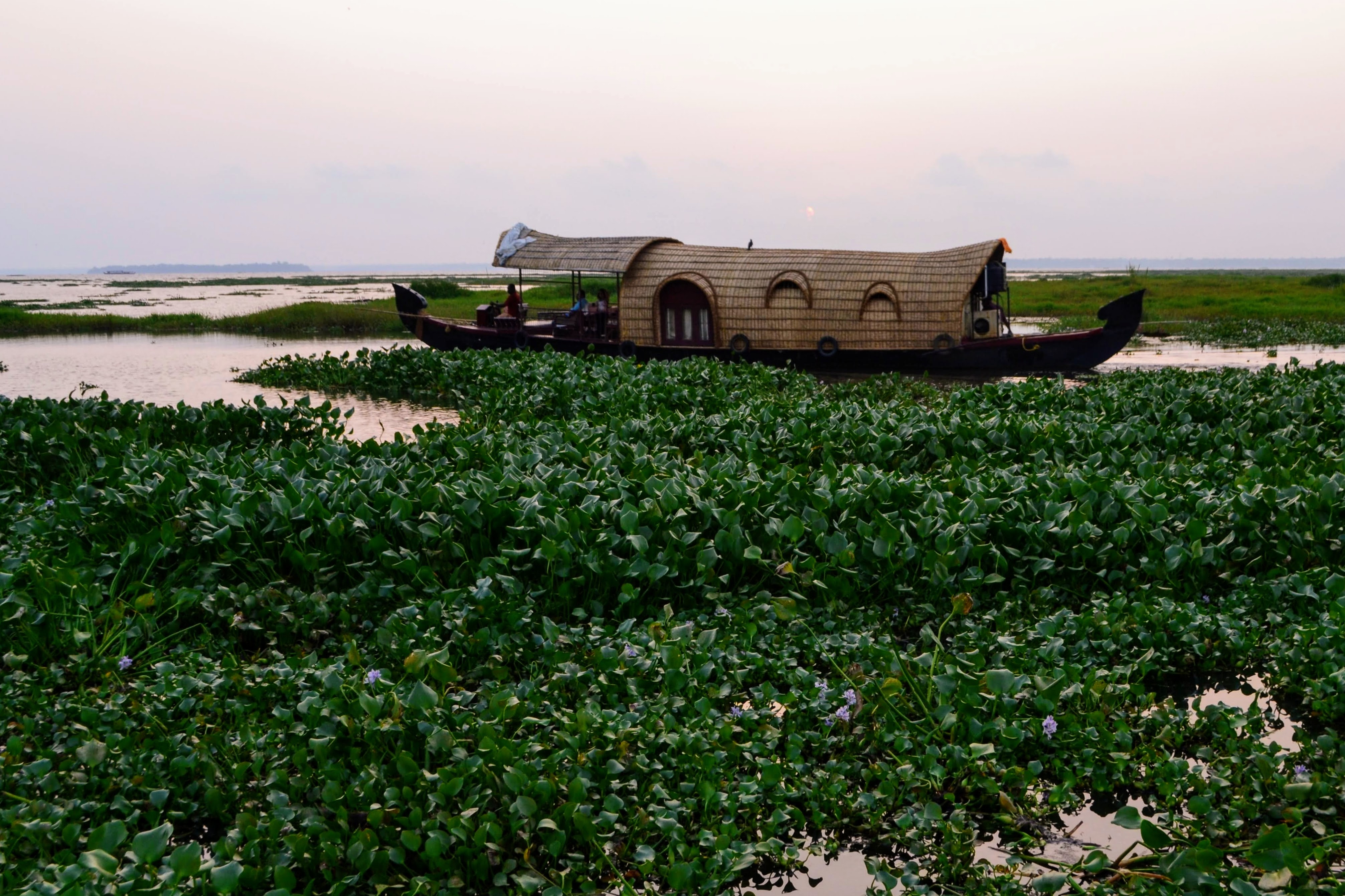 media/images/country-pages/india/kerala/trips/melodies-from-the-mountains-backwaters-7-days/melodies-from-the-mountains-backwaters-7-days-10/2809641-1-eng-GB/melodies-from-the-mountains-backwaters-7-days-10.jpg