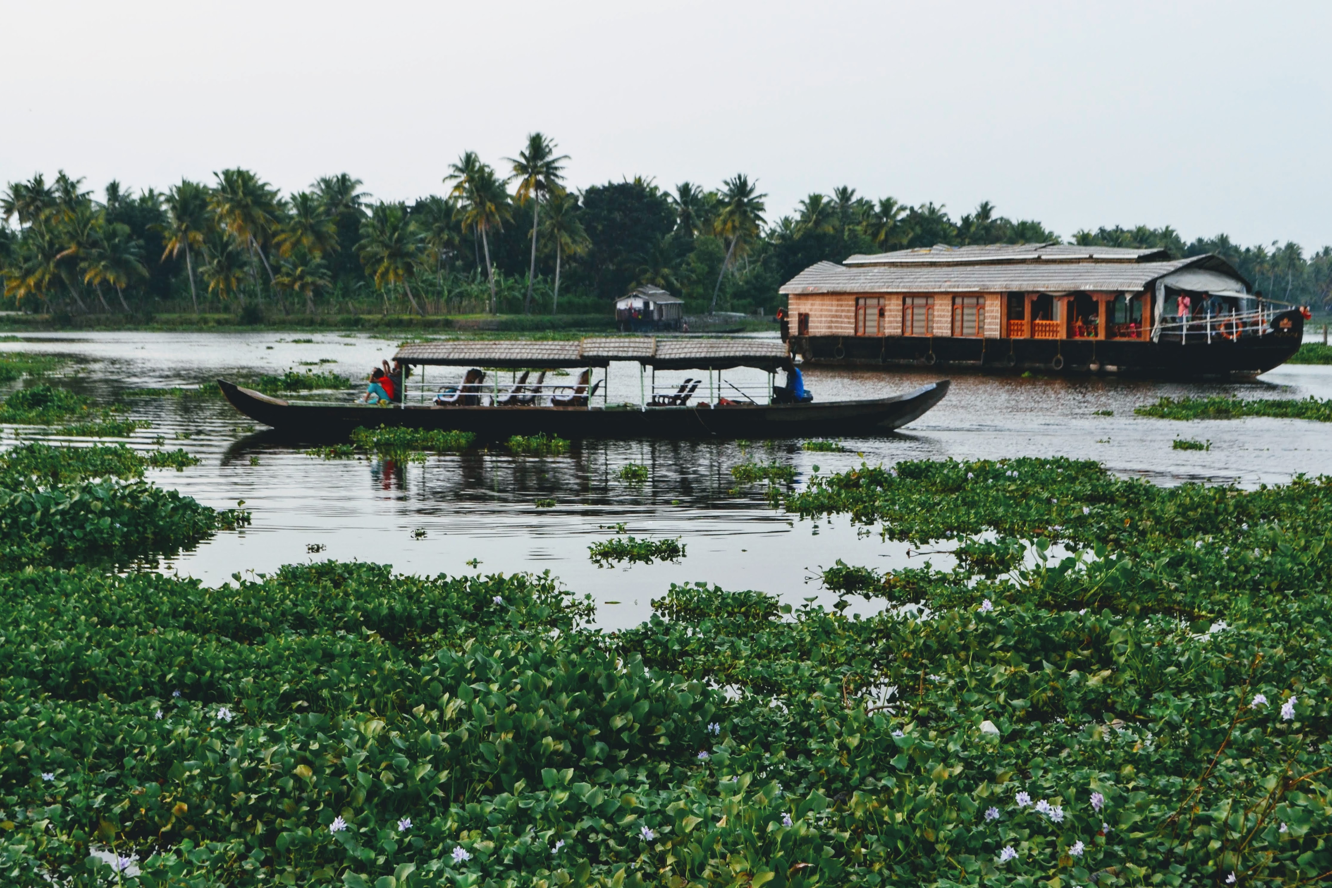media/images/country-pages/india/kerala/trips/melodies-from-the-mountains-backwaters-7-days/melodies-from-the-mountains-backwaters-7-days-6/2809617-1-eng-GB/melodies-from-the-mountains-backwaters-7-days-6.jpg