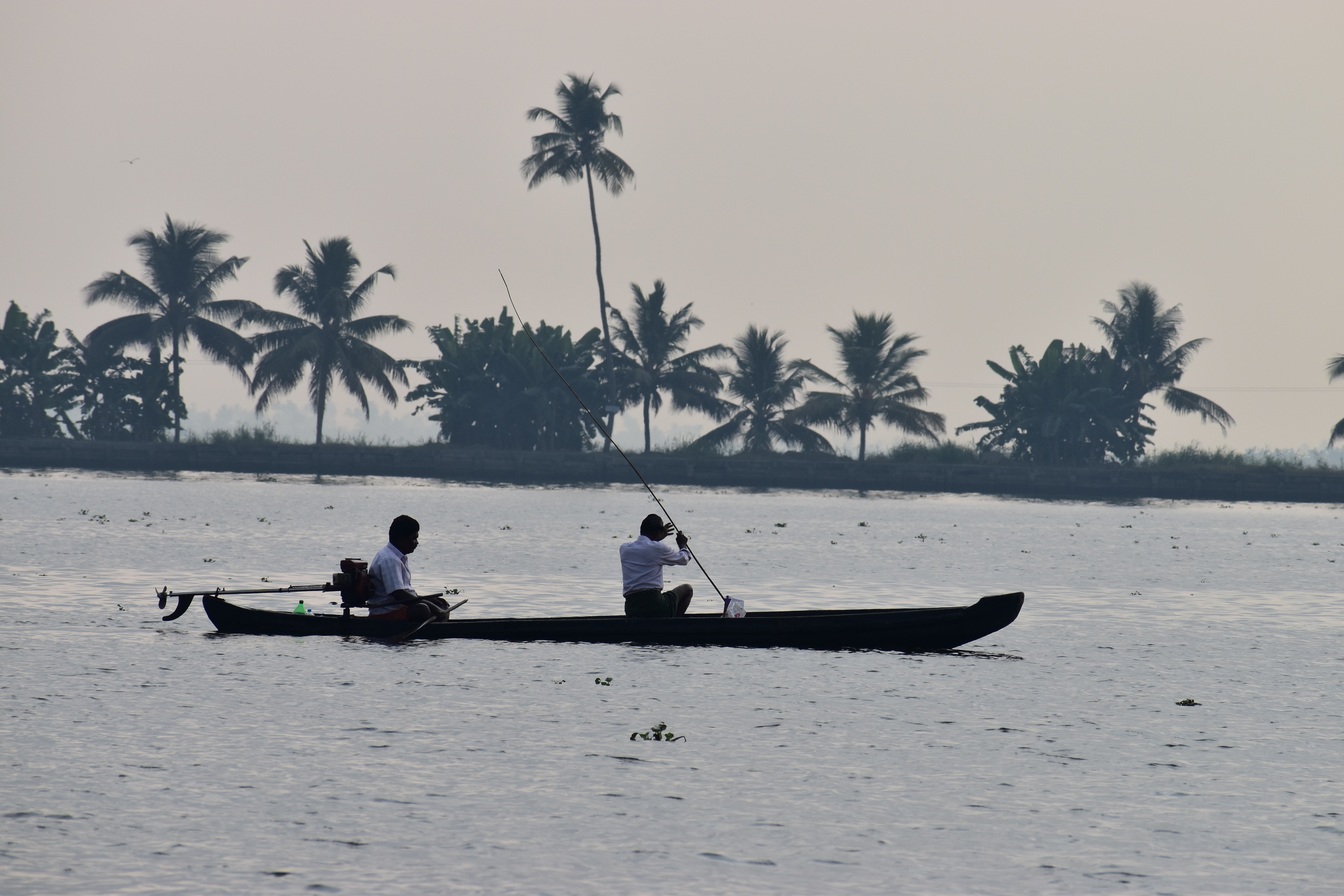 media/images/country-pages/india/kerala/trips/melodies-from-the-mountains-backwaters-7-days/melodies-from-the-mountains-backwaters-7-days-8/2809511-1-eng-GB/melodies-from-the-mountains-backwaters-7-days-8.jpg