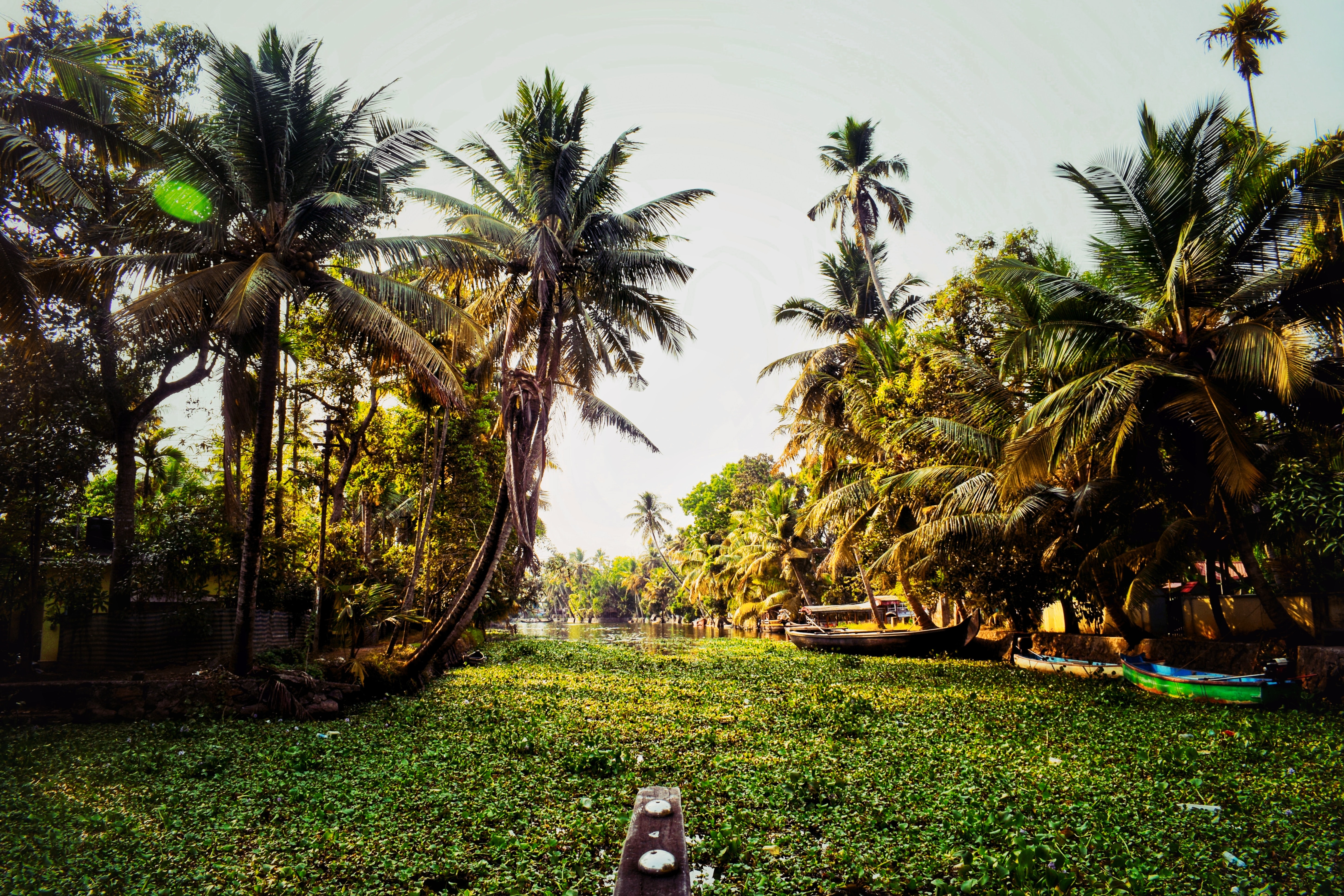 media/images/country-pages/india/kerala/trips/melodies-from-the-mountains-backwaters-7-days/melodies-from-the-mountains-backwaters-7-days-9/2809665-1-eng-GB/melodies-from-the-mountains-backwaters-7-days-9.jpg