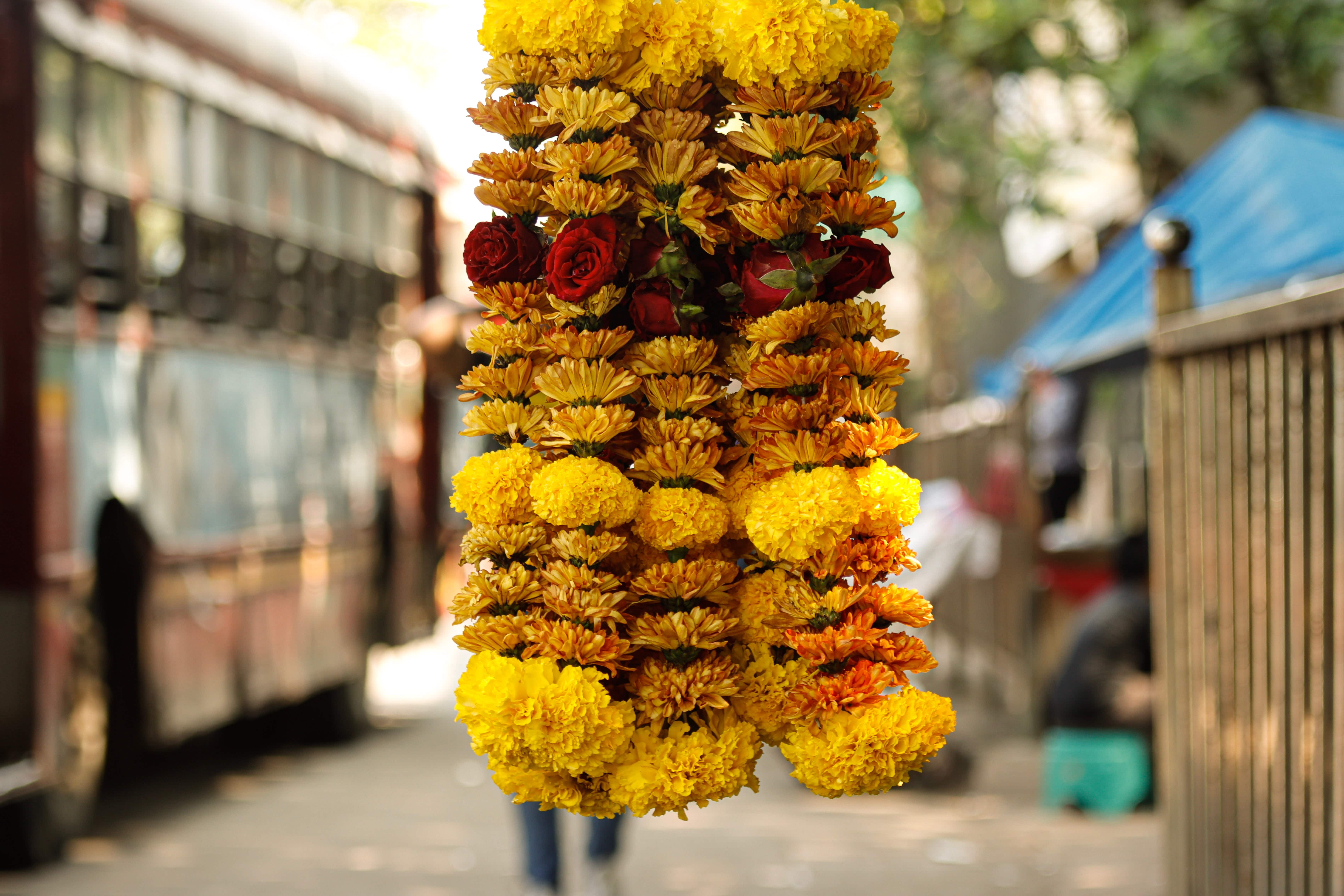 media/images/country-pages/india/mumbai-and-nearby/best-of-cities/best-of-mumbai/best-of-mumbai-3/2988326-1-eng-GB/best-of-mumbai-3.jpg
