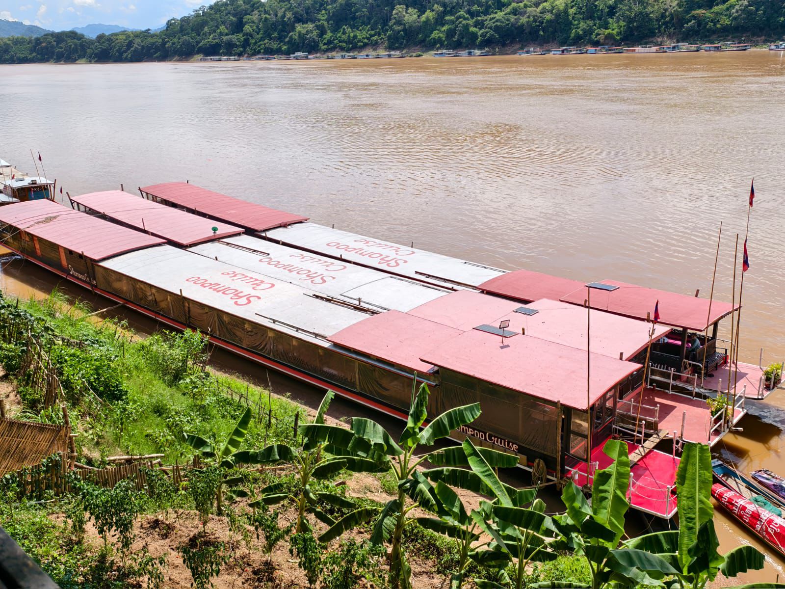 media/images/country-pages/laos/luang-prabang-and-nearby/comfort-luang-prabang-to-chiang-mai-connect-and-stay/shompoo-cuise-4/4153832-1-eng-GB/shompoo-cuise-4.jpg