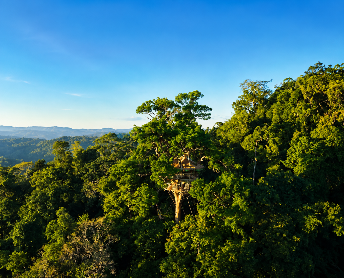 media/images/country-pages/laos/luang-prabang-and-nearby/huay-xai-and-gibbon-adventure/gibbon-experience-2/4373724-1-eng-GB/gibbon-experience-2.png