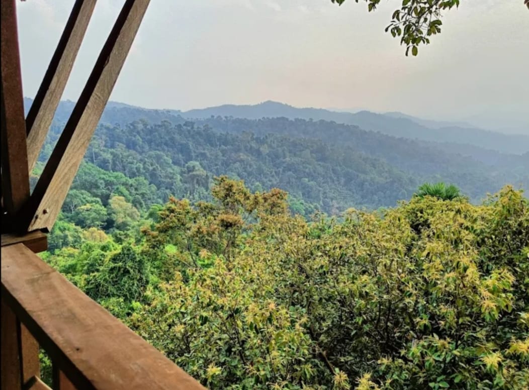 media/images/country-pages/laos/luang-prabang-and-nearby/huay-xai-and-gibbon-adventure/gibbon-experience-3/4373706-1-eng-GB/gibbon-experience-3.jpg