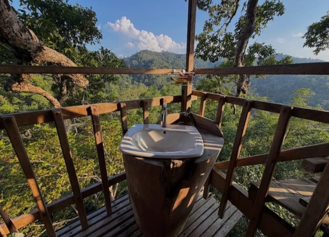 media/images/country-pages/laos/luang-prabang-and-nearby/huay-xai-and-gibbon-adventure/gibbon-experience-5/4373700-1-eng-GB/gibbon-experience-5.jpg