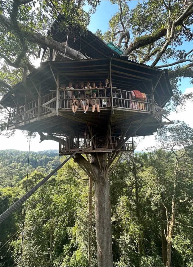 media/images/country-pages/laos/luang-prabang-and-nearby/huay-xai-and-gibbon-adventure/gibbon-experience/4373688-1-eng-GB/gibbon-experience.jpg