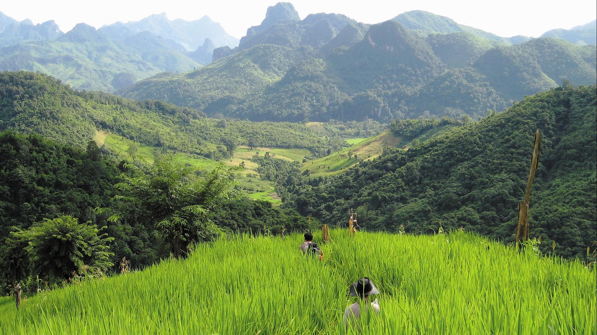 media/images/country-pages/laos/luang-prabang-and-nearby/luang-prabang-mystic-peaks-hidden-trails/luang-prabang-mystic-peaks-hidden-trails-9/3684258-1-eng-GB/luang-prabang-mystic-peaks-hidden-trails-9.jpg