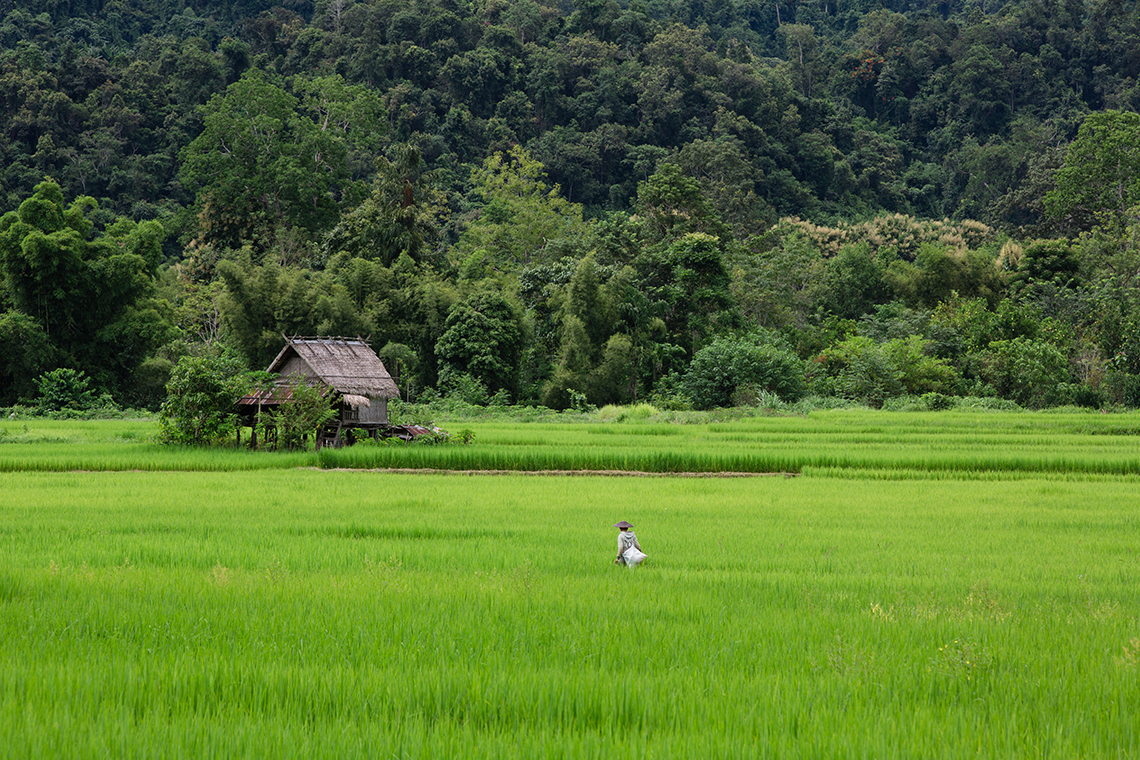 media/images/country-pages/laos/luang-prabang-and-nearby/nong-khiaw-jungle-and-river-trails/nong-khiaw-jungle-and-river-trails-4/3685198-1-eng-GB/nong-khiaw-jungle-and-river-trails-4.jpg
