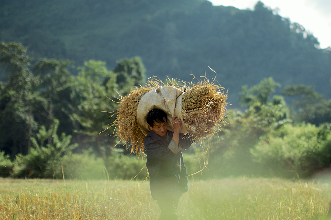 media/images/country-pages/laos/luang-prabang-and-nearby/nong-khiaw-jungle-and-river-trails/nong-khiaw-jungle-and-river-trails-6/3685210-1-eng-GB/nong-khiaw-jungle-and-river-trails-6.jpg