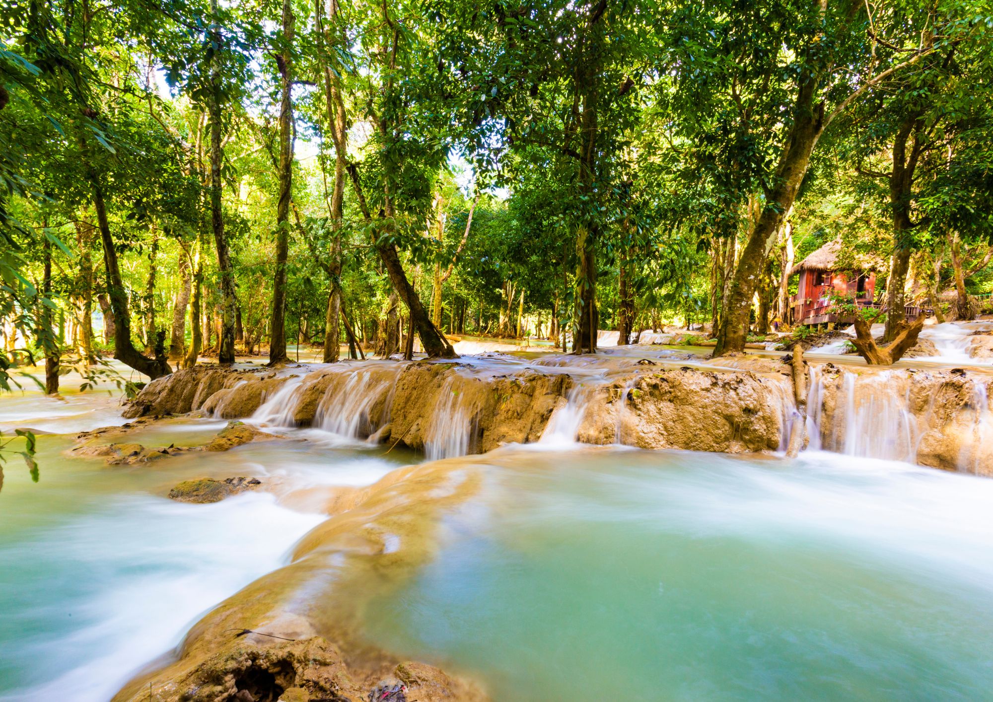 media/images/country-pages/laos/luang-prabang-and-nearby/trips/luang-prabang-hillside-trek/luang-prabang-hillside-trek-1/3656166-1-eng-GB/luang-prabang-hillside-trek-1.jpg