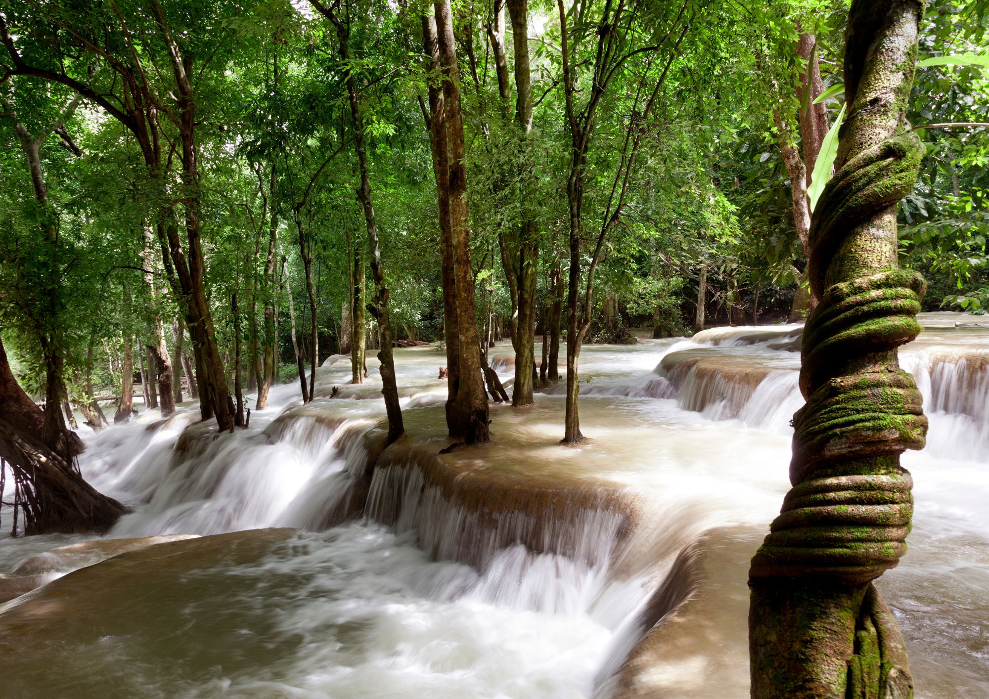 media/images/country-pages/laos/luang-prabang-and-nearby/trips/luang-prabang-hillside-trek/luang-prabang-hillside-trek-3/3656154-1-eng-GB/luang-prabang-hillside-trek-3.jpg