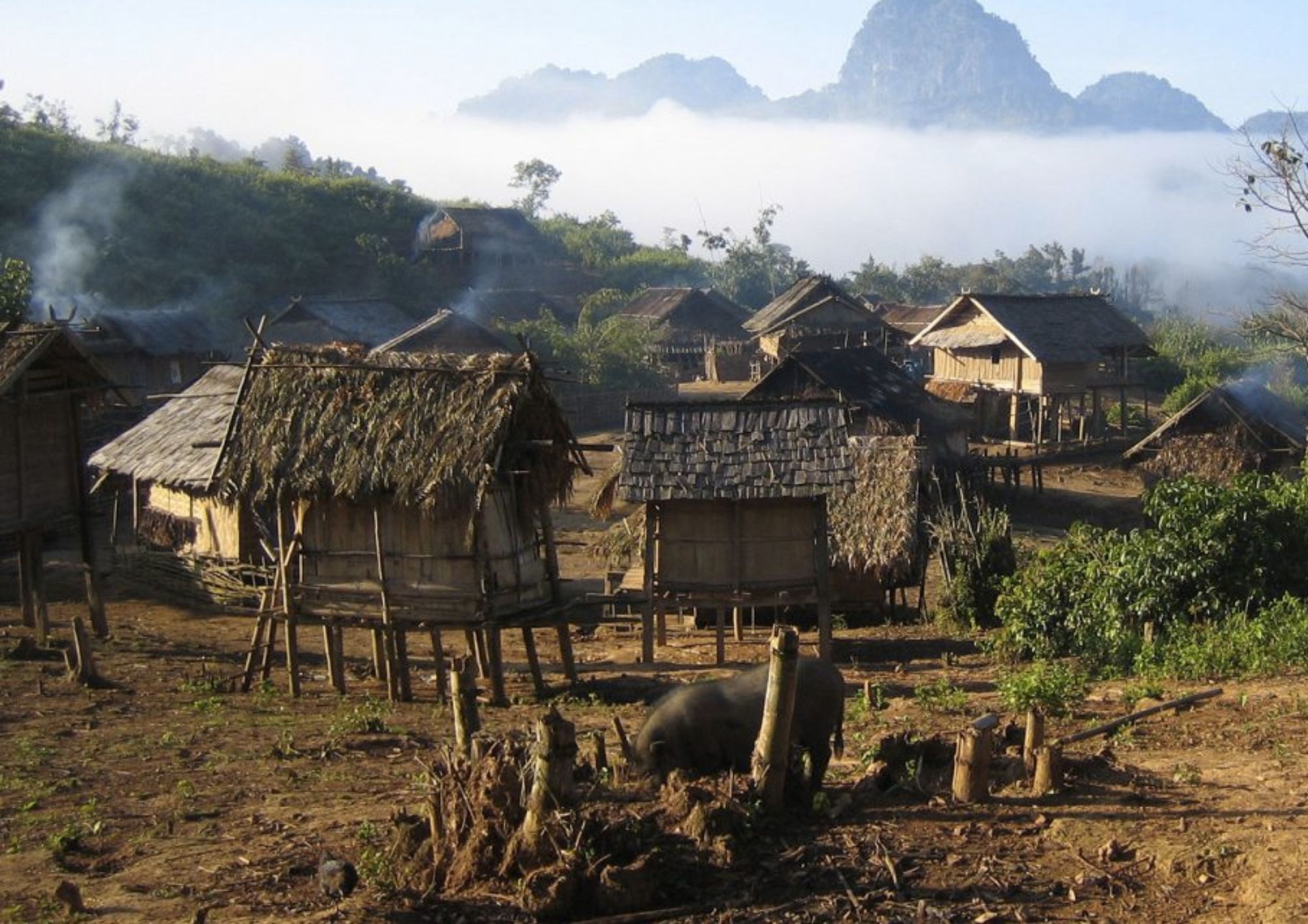 media/images/country-pages/laos/luang-prabang-and-nearby/trips/luang-prabang-hillside-trek/luang-prabang-hillside-trek-4/3656148-1-eng-GB/luang-prabang-hillside-trek-4.jpg