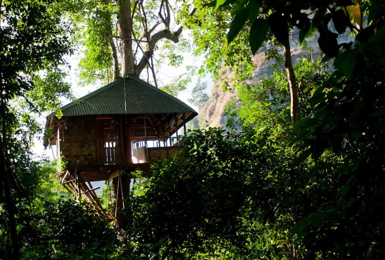 media/images/country-pages/laos/the-far-south/trips/pakse-treetop-explorer/treetop1/2938360-1-eng-GB/treetop1.jpg