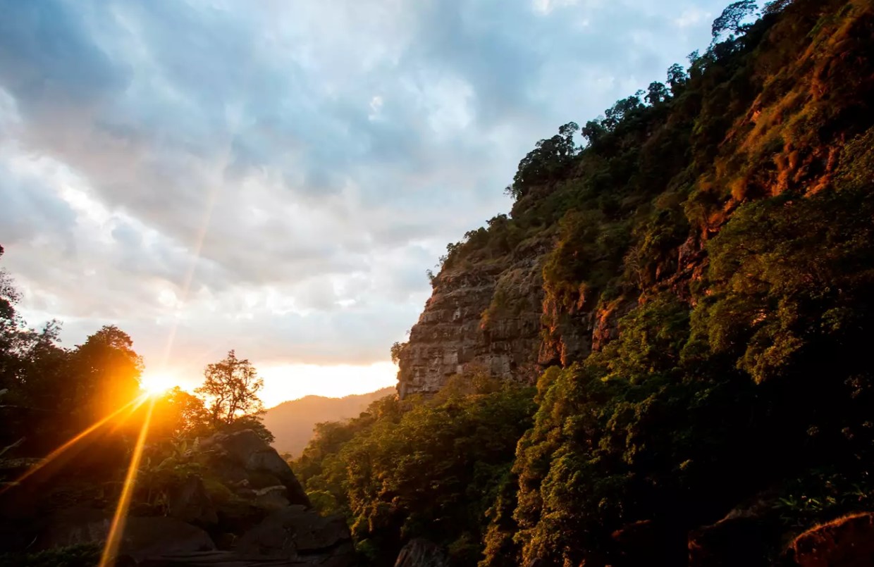 media/images/country-pages/laos/the-far-south/trips/pakse-treetop-explorer/treetop4/2938378-1-eng-GB/treetop4.jpg