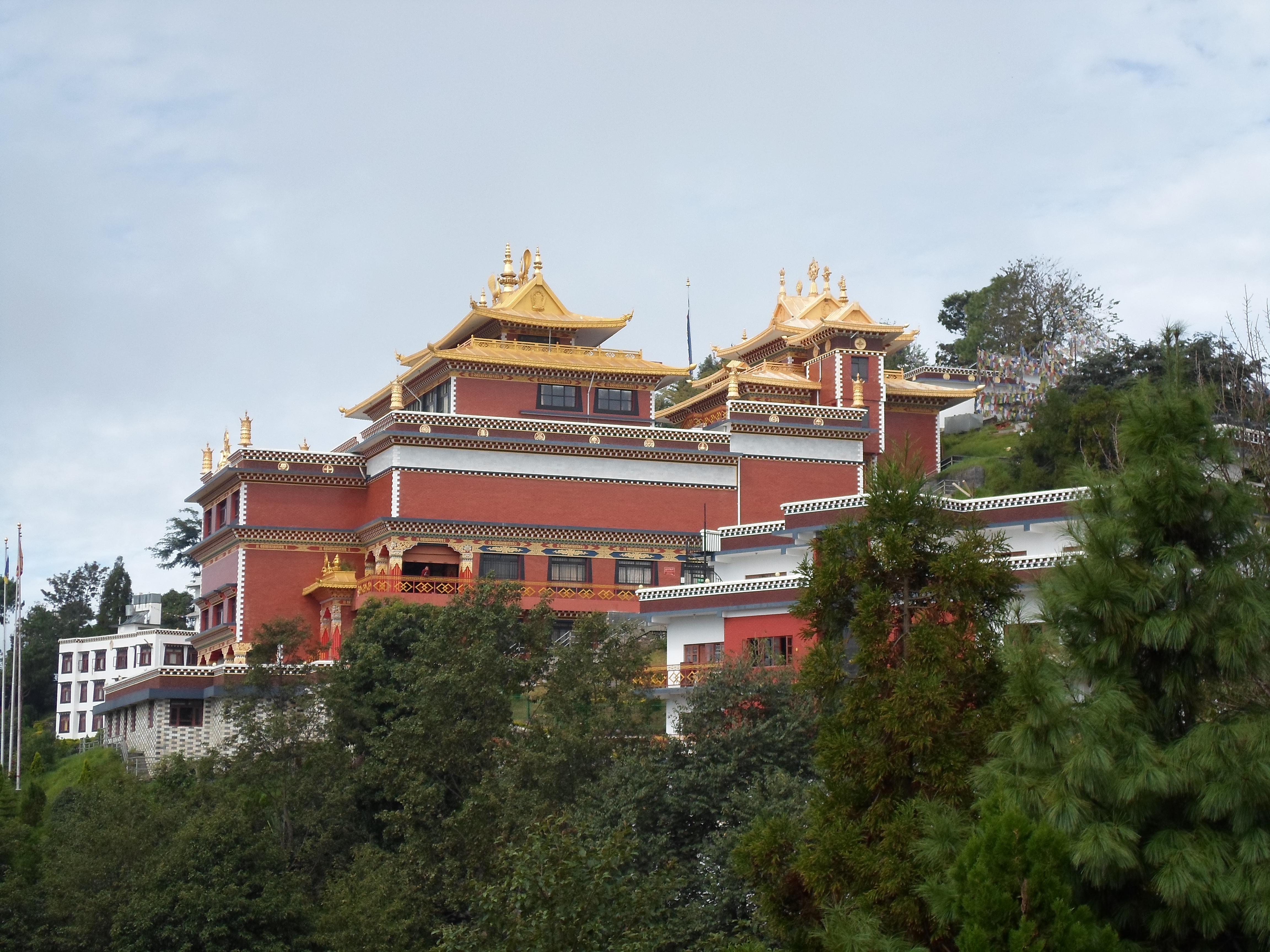 media/images/country-pages/nepal/kathmandu-and-nearby/trips/backpacker-chisapani-and-namobuddha-trek/backpacker-chisapani-and-namobuddha-trek-8/4004728-1-eng-GB/backpacker-chisapani-and-namobuddha-trek-8.jpg