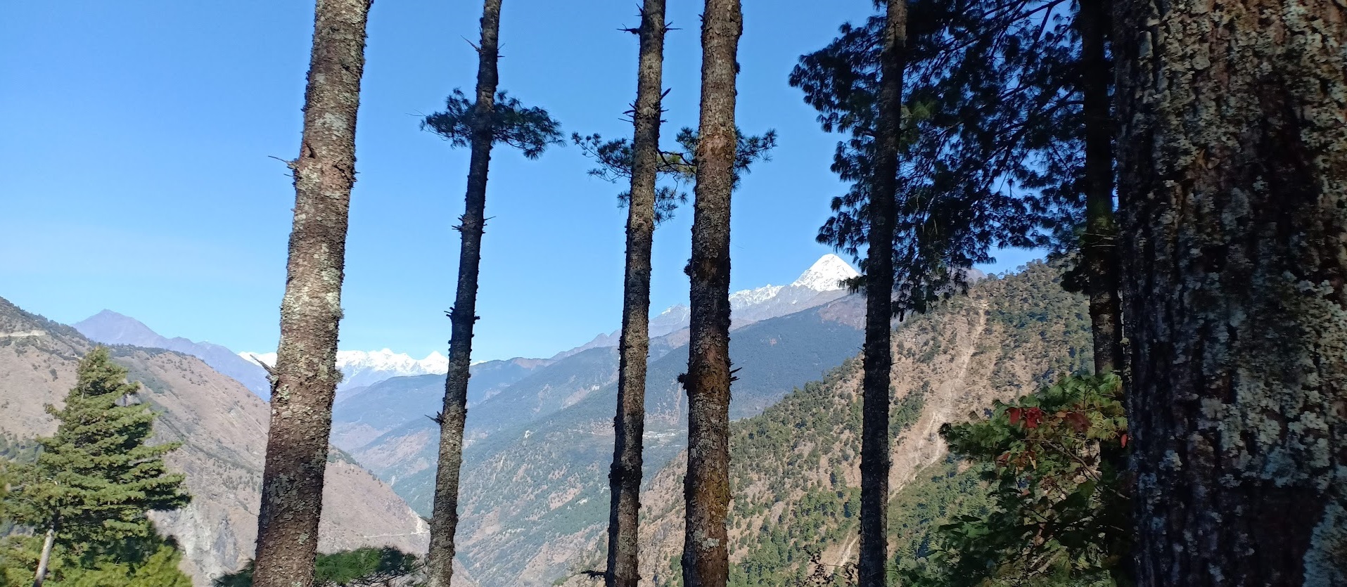 media/images/country-pages/nepal/kathmandu-and-nearby/trips/gosaikunda-lake-trek/gosaikunda-lake-trek-8/4194305-1-eng-GB/gosaikunda-lake-trek-8.jpg