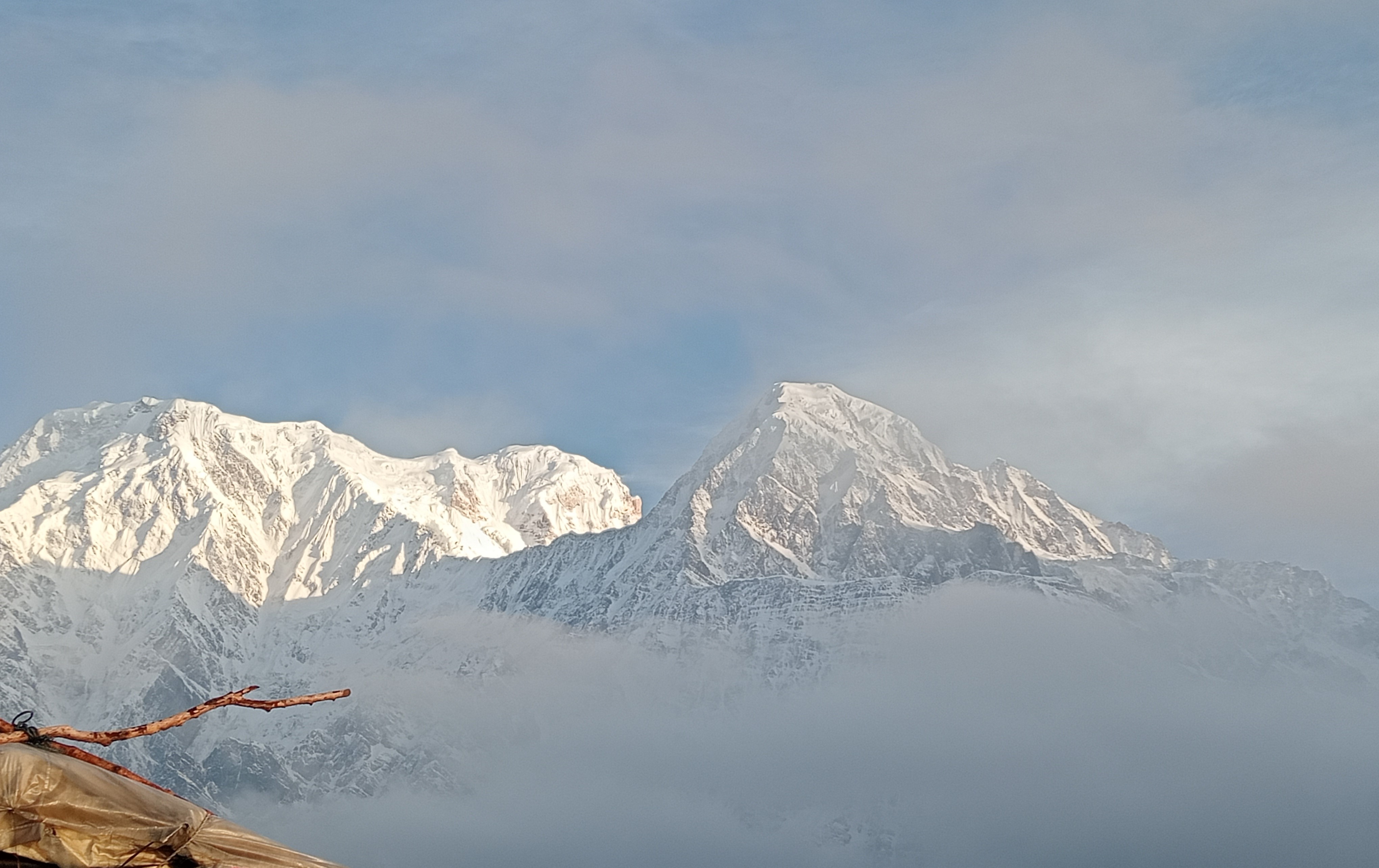 media/images/country-pages/nepal/kathmandu-and-nearby/trips/mardi-himal-trek/mardi-himal-trek-4/4194512-1-eng-GB/mardi-himal-trek-4.jpg