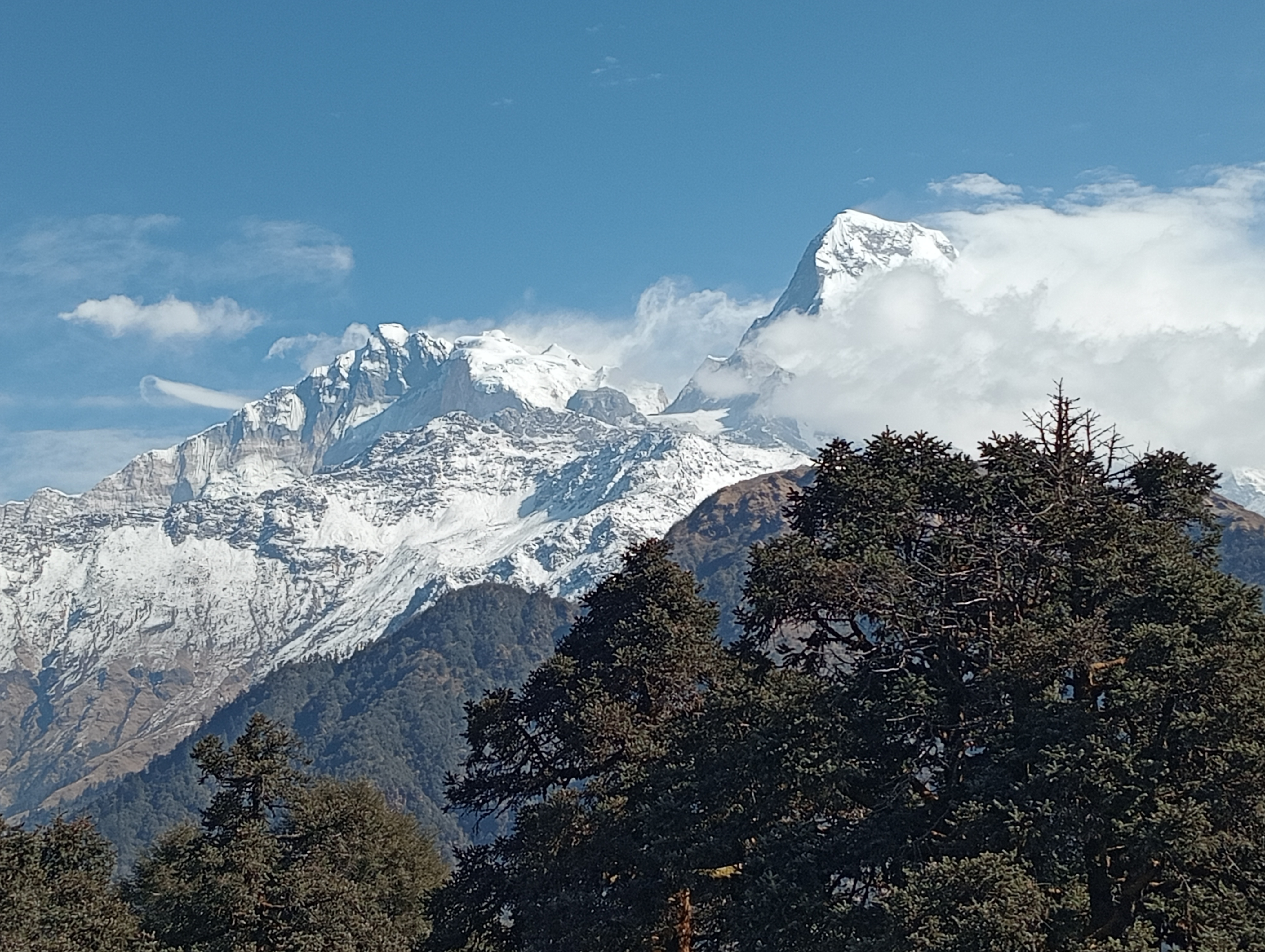 media/images/country-pages/nepal/kathmandu-and-nearby/trips/mardi-himal-trek/mardi-himal-trek-8/4194560-1-eng-GB/mardi-himal-trek-8.jpg