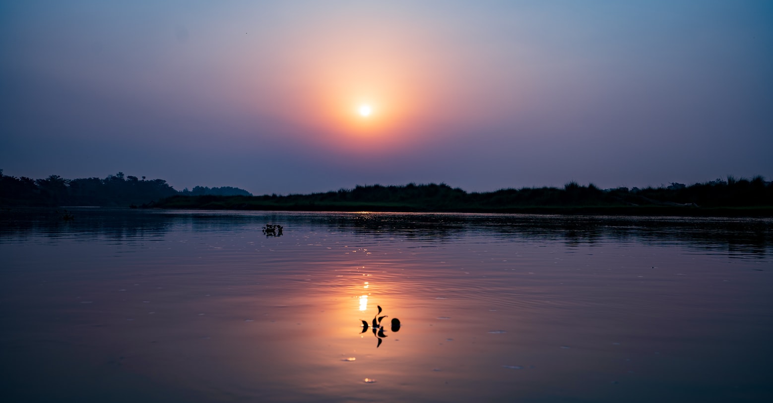 media/images/country-pages/nepal/kathmandu-nearby/trips/chitwan-national-park-explorer-3-days/chitwan-national-park-explorer-3-days-3/2792776-1-eng-GB/chitwan-national-park-explorer-3-days-3.jpg