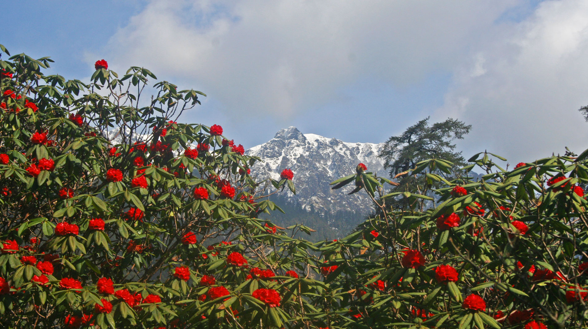 media/images/country-pages/nepal/kathmandu-nearby/trips/ganesh-himal-singla-top-trek-8-days/ganesh-himal-singla-top-trek-8-days-3/2795024-1-eng-GB/ganesh-himal-singla-top-trek-8-days-3.jpg