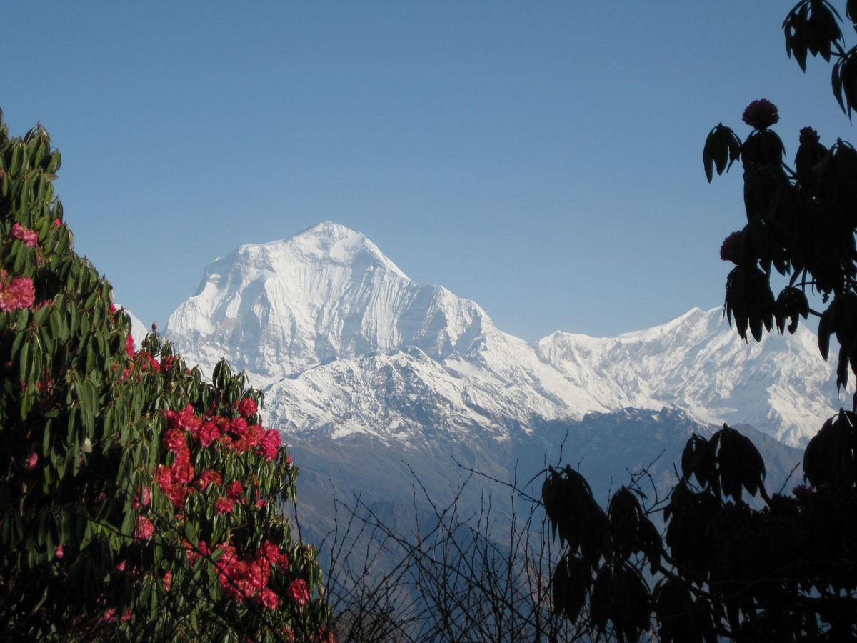 media/images/country-pages/nepal/kathmandu-nearby/trips/ghorepani-poonhill-tea-house-trek-6-days/ghorepani-poonhill-tea-house-trek-6-days-1/2793328-1-eng-GB/ghorepani-poonhill-tea-house-trek-6-days-1.jpg