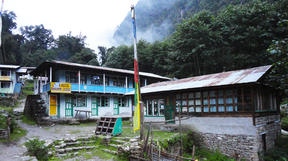 media/images/country-pages/nepal/kathmandu-nearby/trips/langtang-tea-house-trek-9-days/langtang-tea-house-trek-9-days-6/2793668-1-eng-GB/langtang-tea-house-trek-9-days-6.jpg