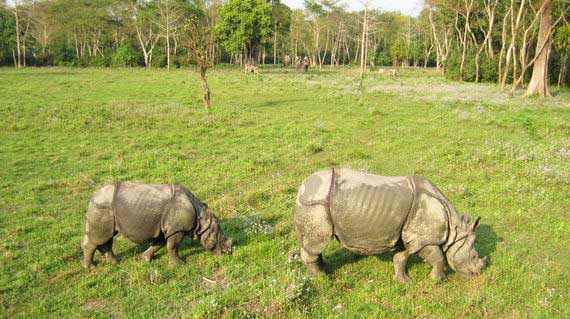 media/images/country-pages/nepal/kathmandu-nearby/trips/lowland-homestay-jungle-safari-5-days/lowland-homestay-jungle-safari-5-days-3/2793206-1-eng-GB/lowland-homestay-jungle-safari-5-days-3.jpg
